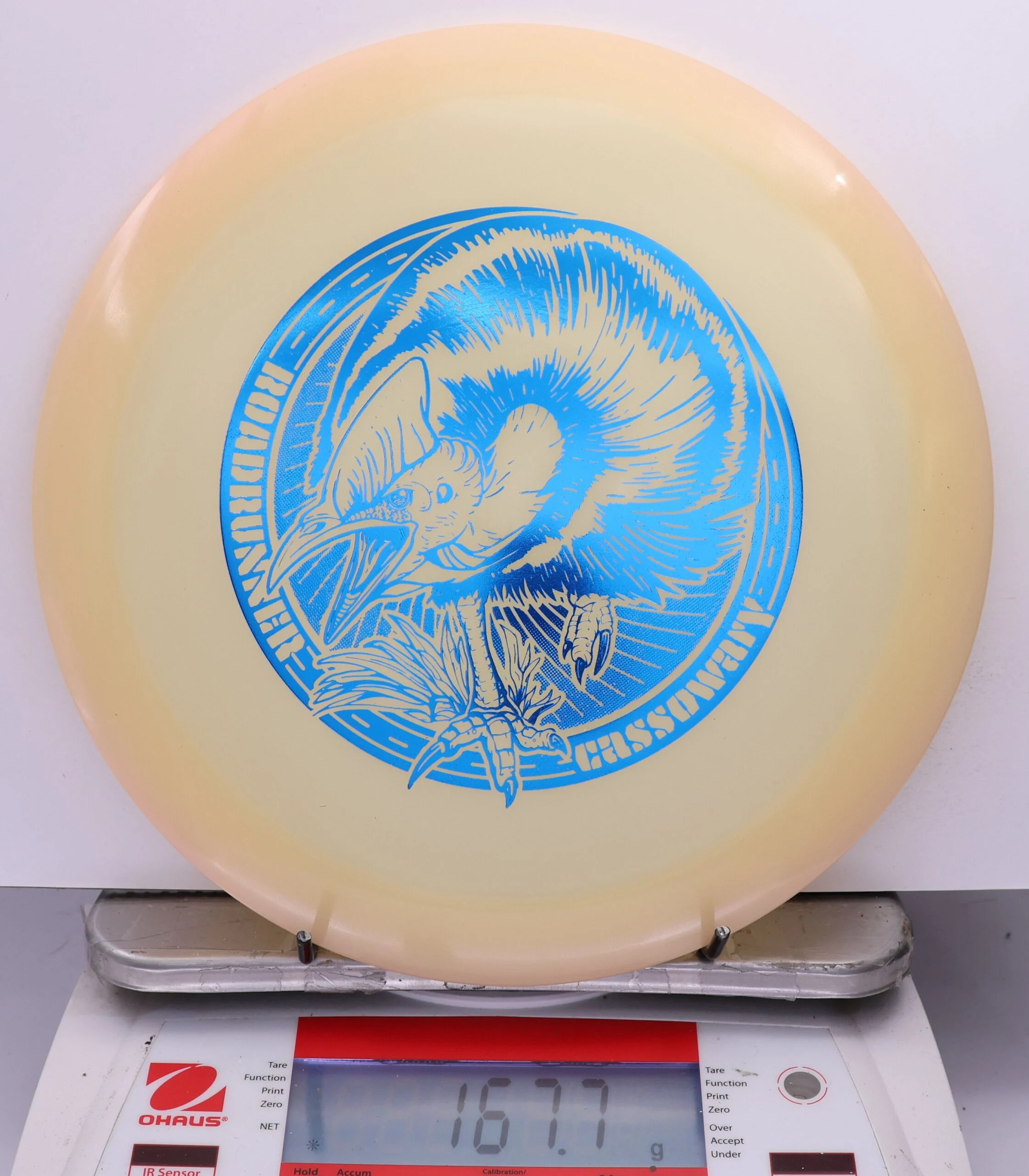 539594 Classic Glow Champion Roadrunner, Artists' Corner - #738 Orange Glow, 168