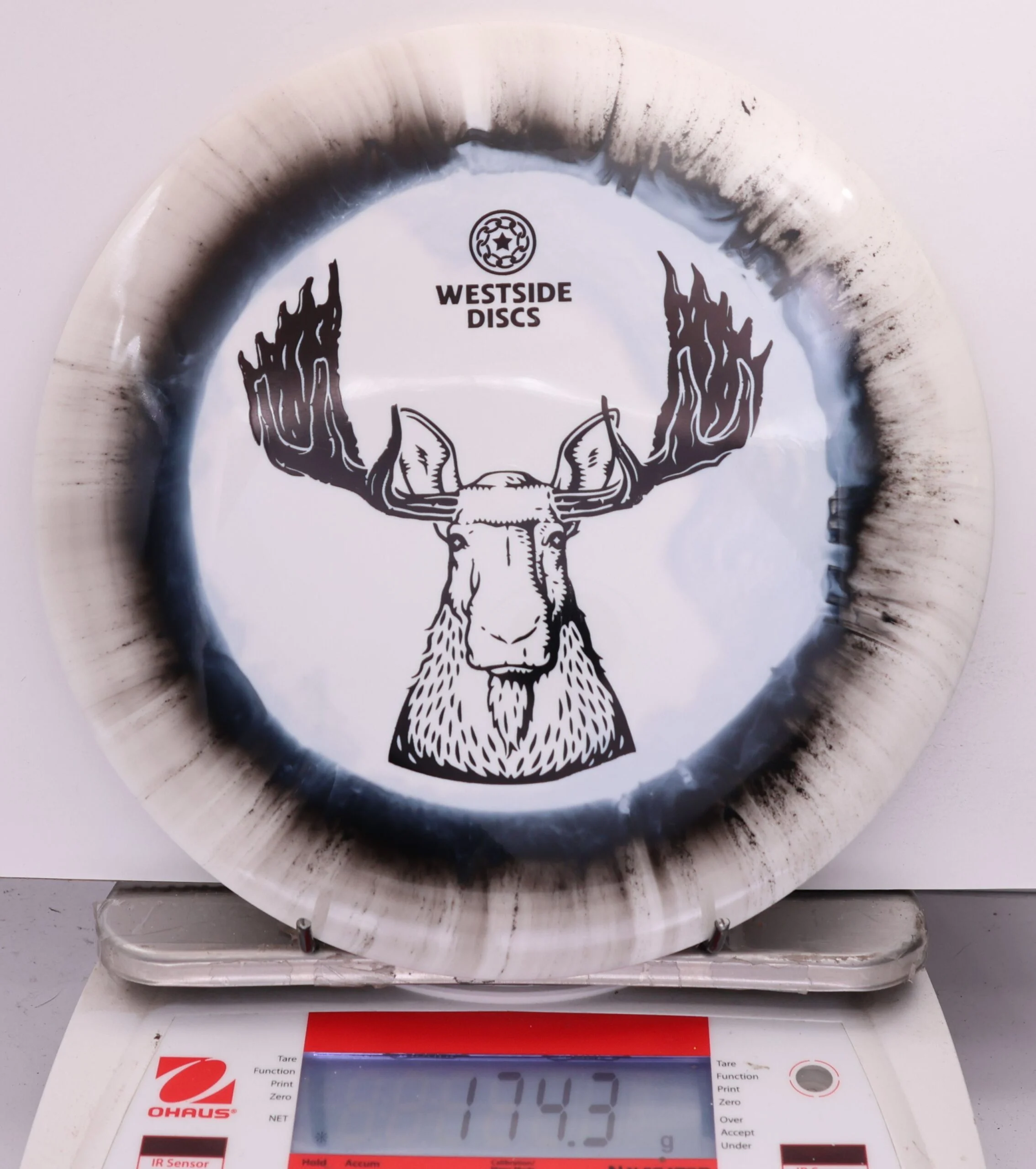 565334 Tournament Ring Stag - #811 Black-White, 174