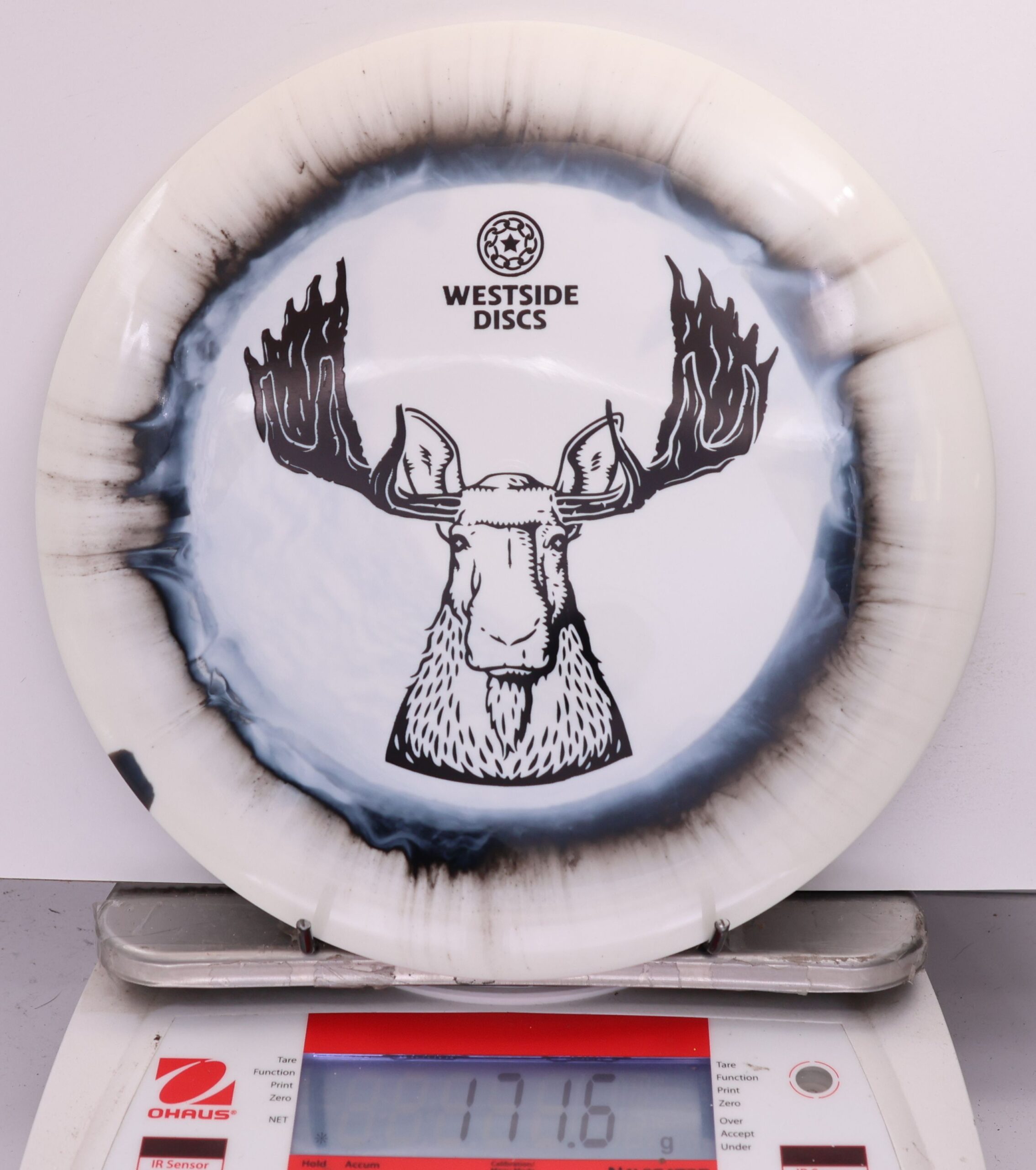 565349 Tournament Ring Stag - #814 Black-White, 172