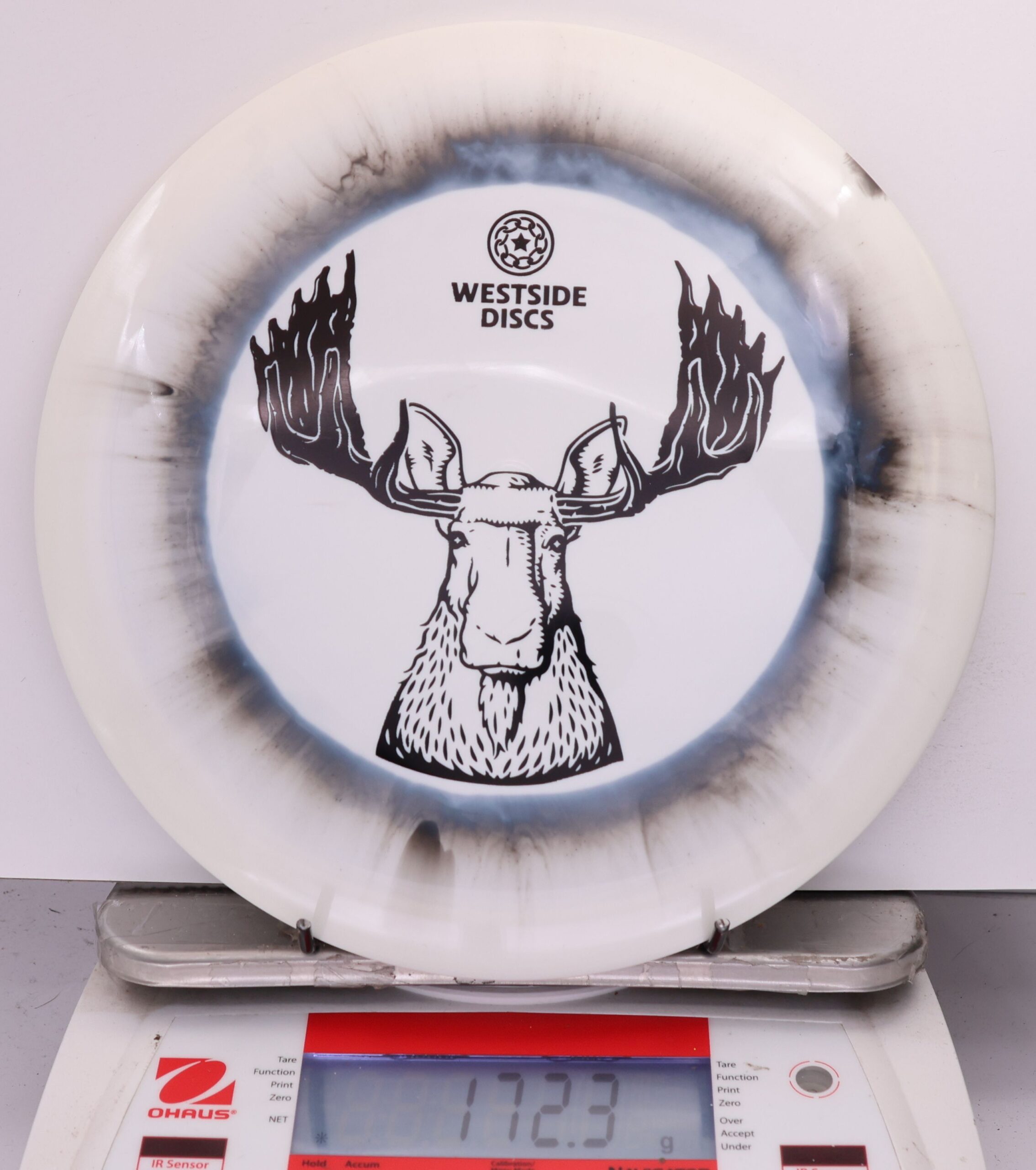 565350 Tournament Ring Stag - #815 Black-White, 172