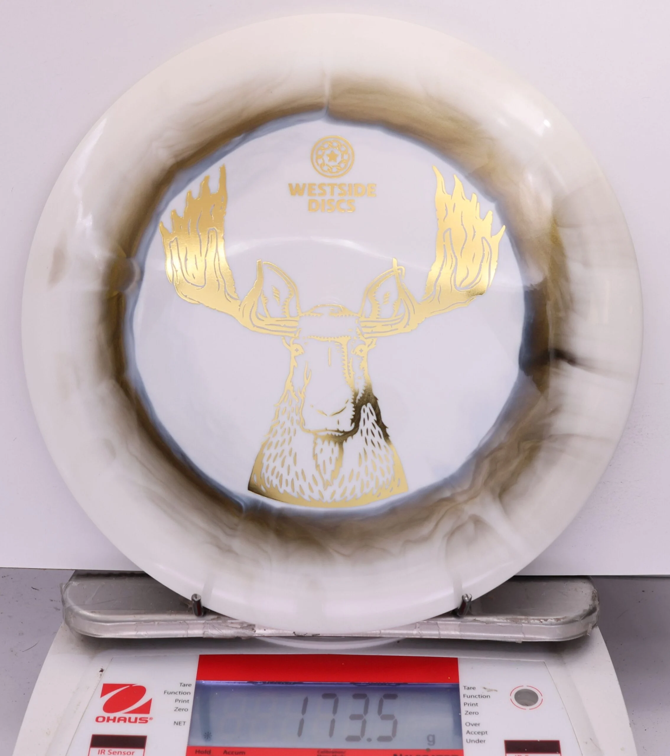 565352 Tournament Ring Stag - #817 GoldBlack-White, 174