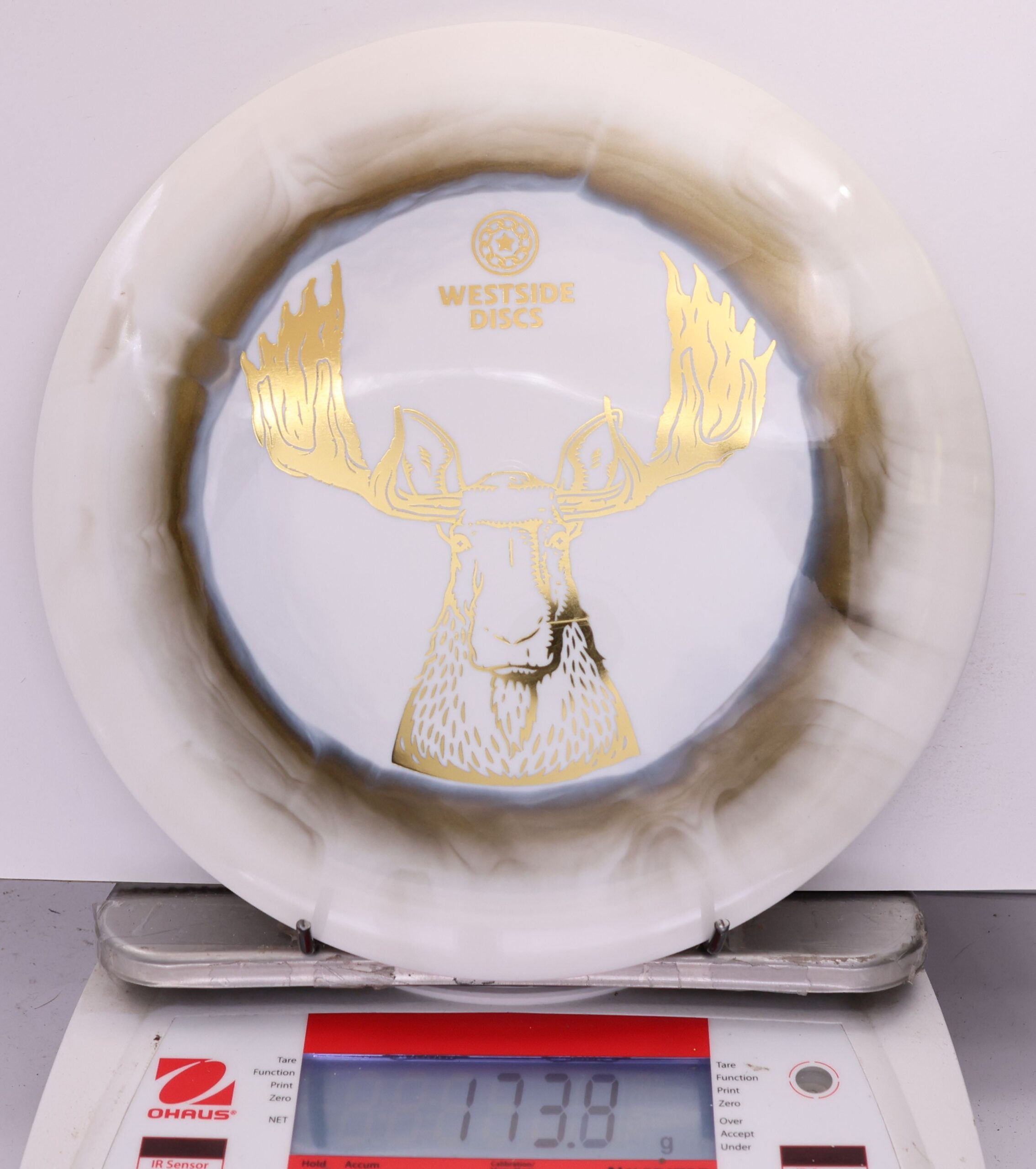 565365 Tournament Ring Stag - #818 GoldBlack-White, 174