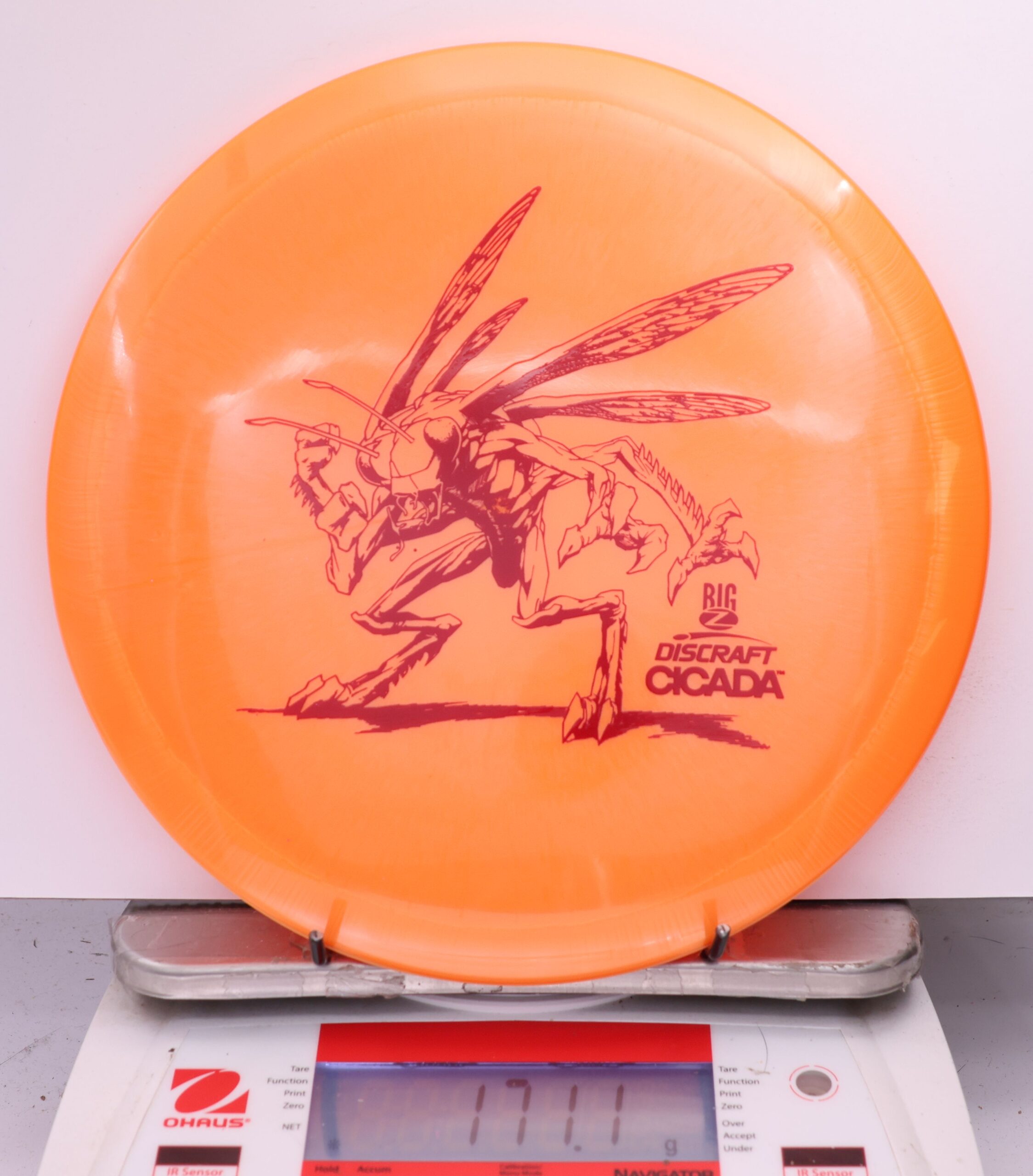 597178 Big Z Cicada - #858 Orange, 171