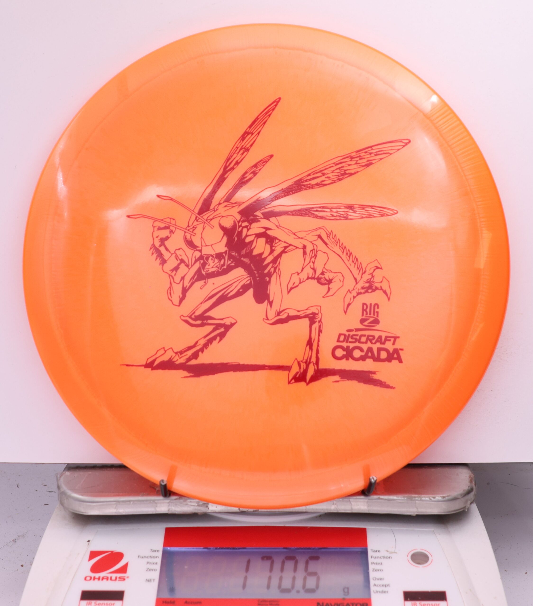 597179 Big Z Cicada - #859 Orange, 171