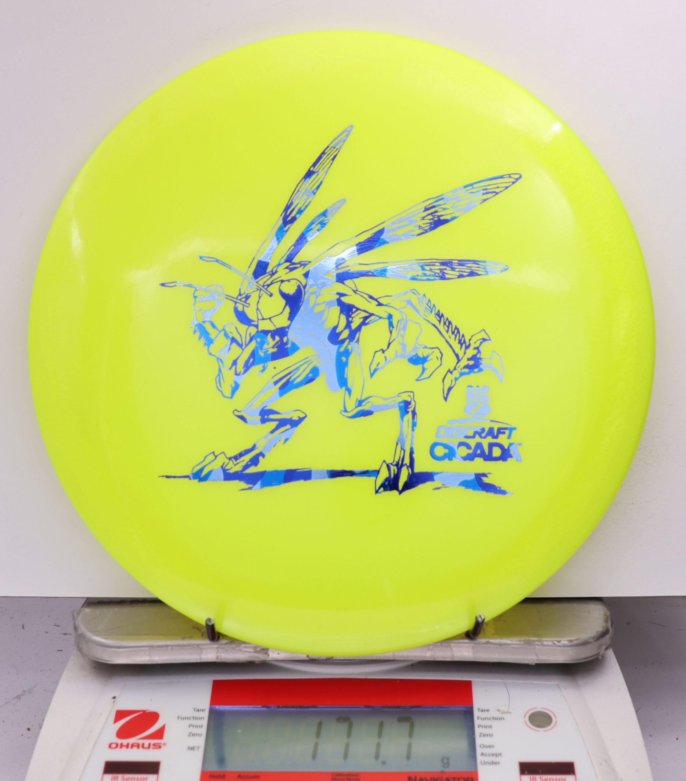 597180 Big Z Cicada - #860 Yellow, 172