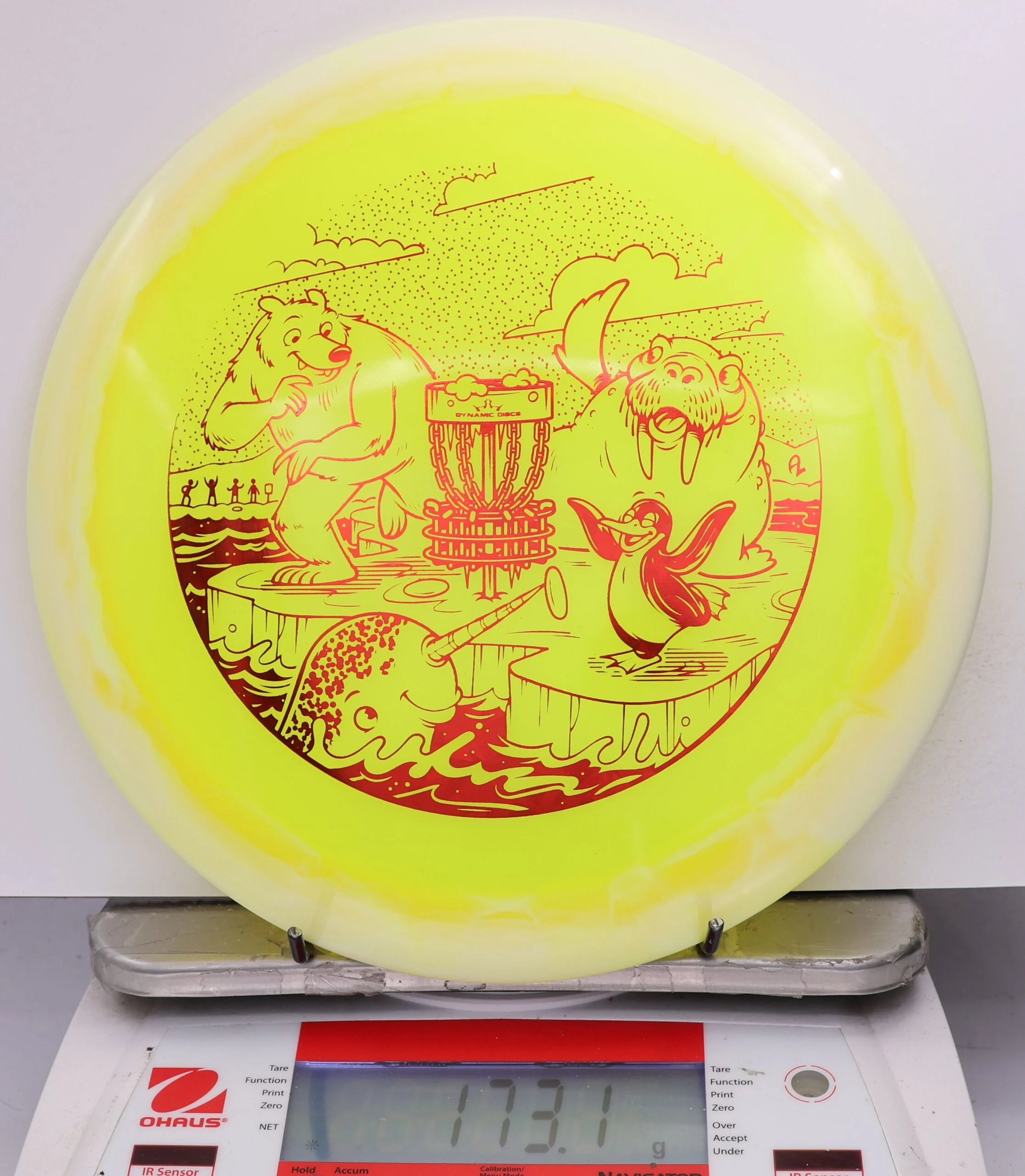 607183 Lucid Ice Orbit Escape, Polar Party - #853 White-NYellow, 173