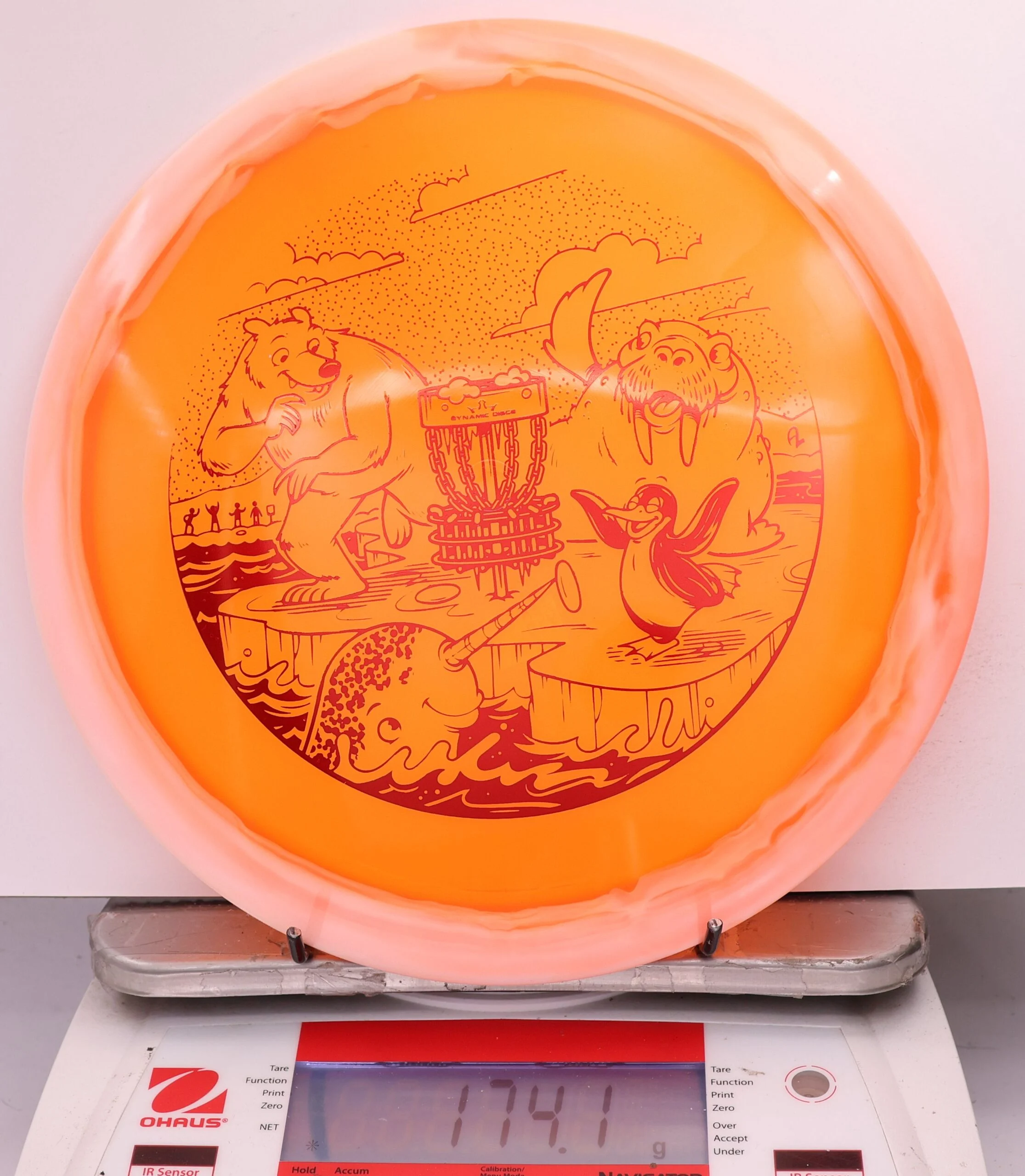 607186 Lucid Ice Orbit Escape, Polar Party - #856 White-Orange, 174