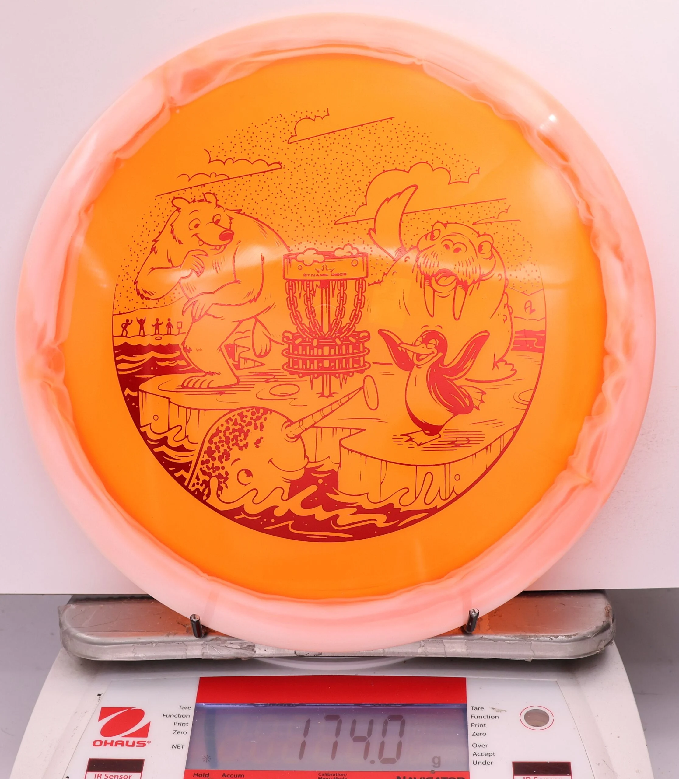 607198 Lucid Ice Orbit Escape, Polar Party - #858 White-Orange, 174