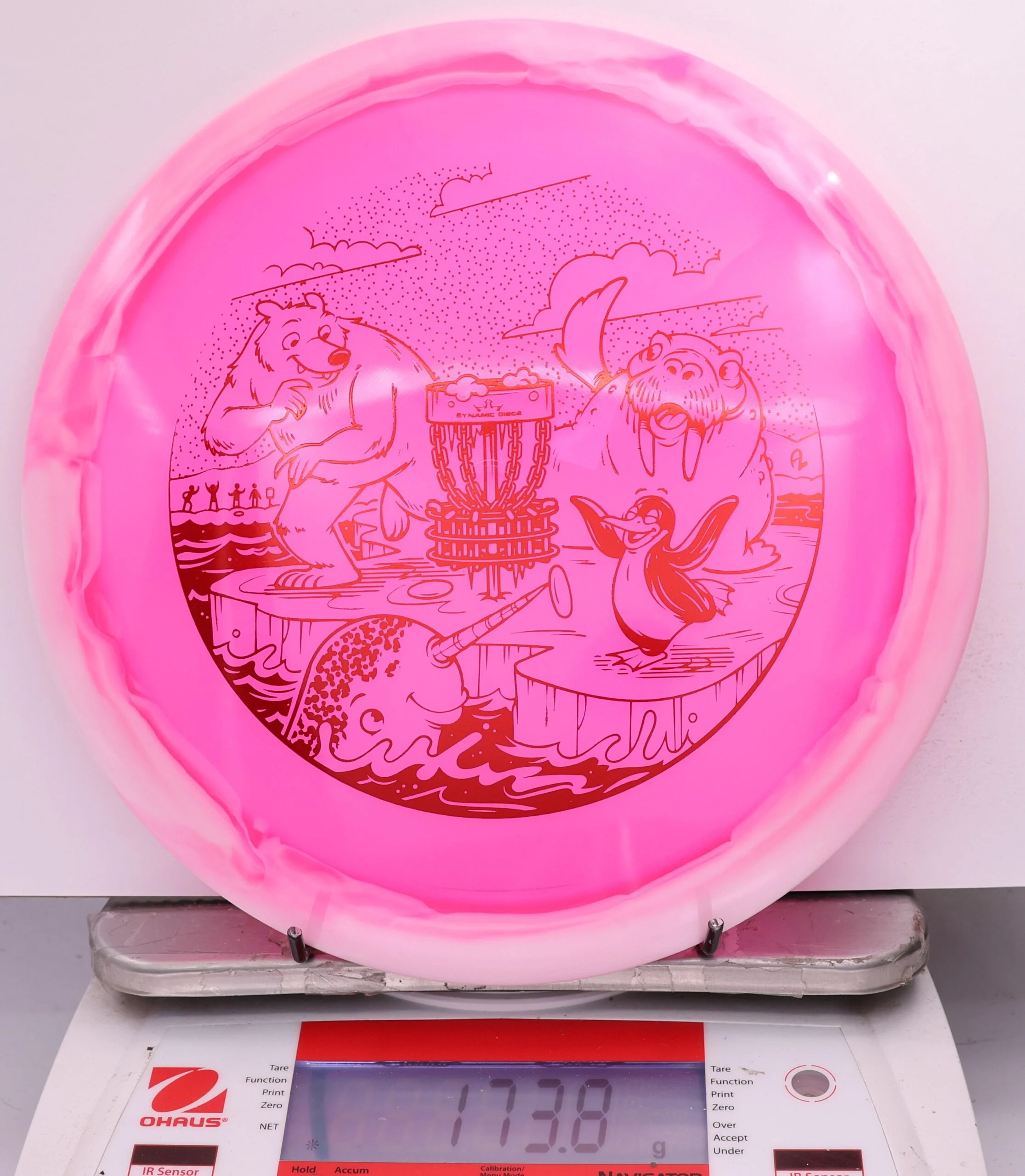 607200 Lucid Ice Orbit Escape, Polar Party - #860 White-Pink, 174