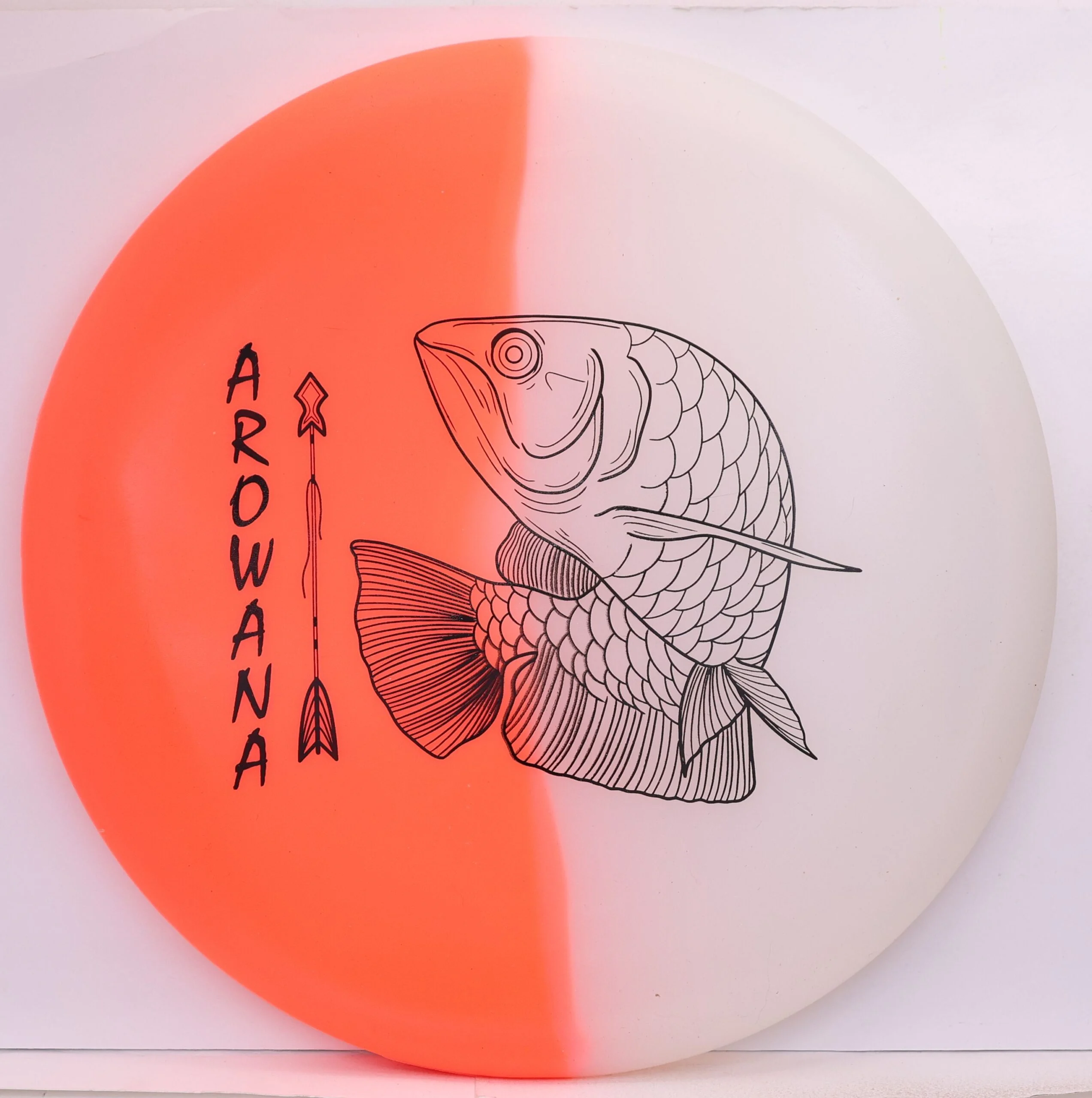 glO-G Arowana