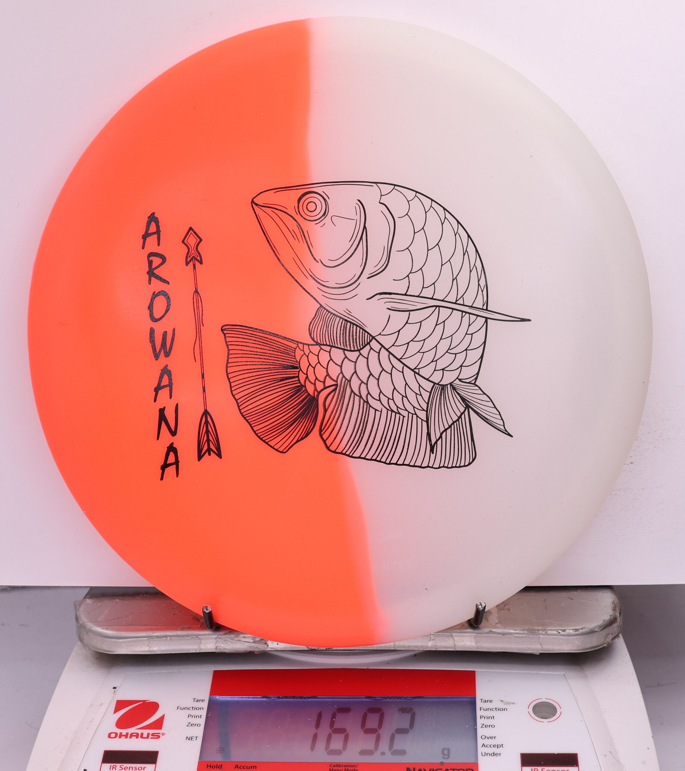 607877 glO-G Arowana - #41 OrangeGlow, 169