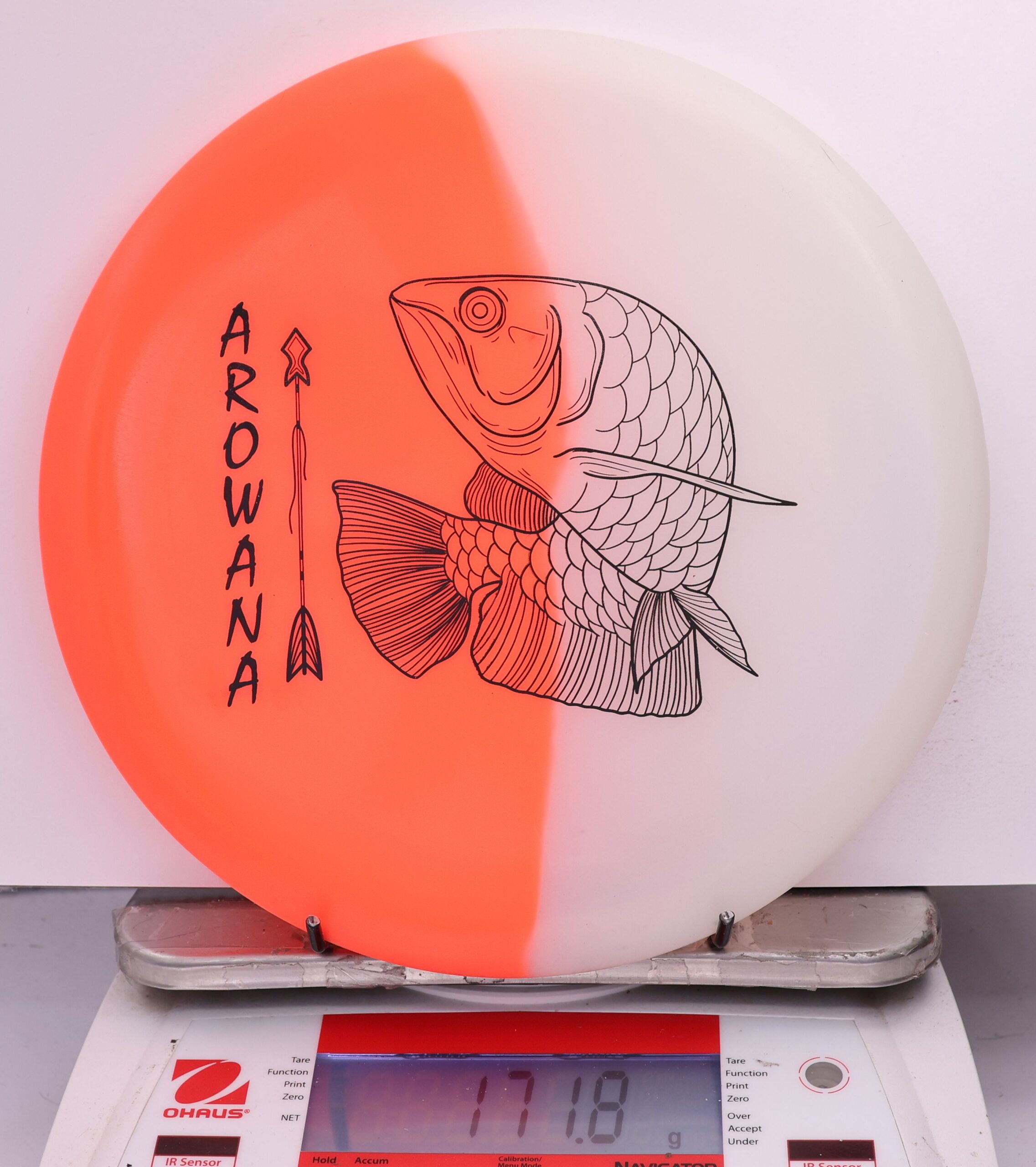607878 glO-G Arowana - #42 OrangeGlow, 172