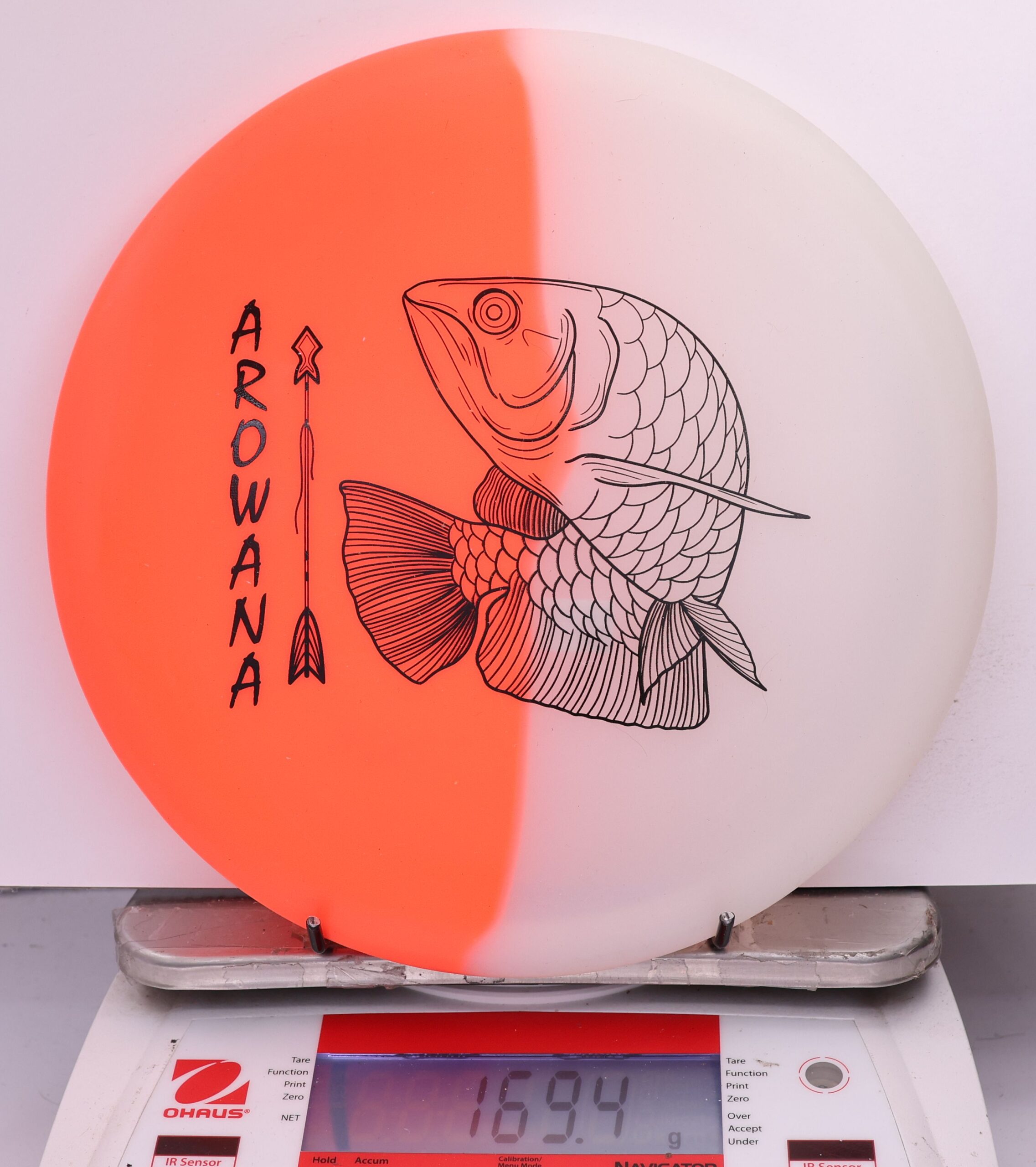 607879 glO-G Arowana - #43 OrangeGlow, 169