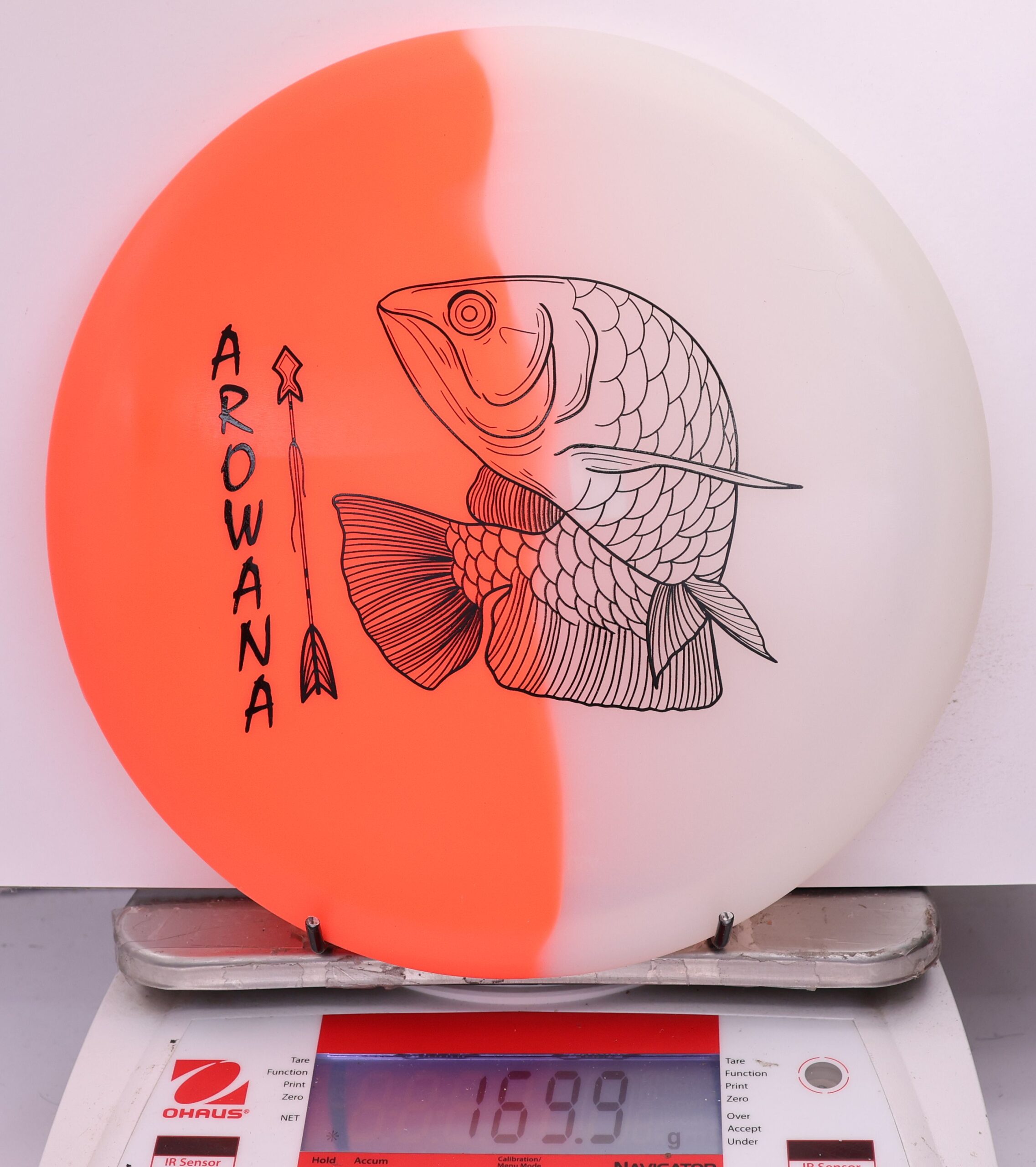 607880 glO-G Arowana - #44 OrangeGlow, 170