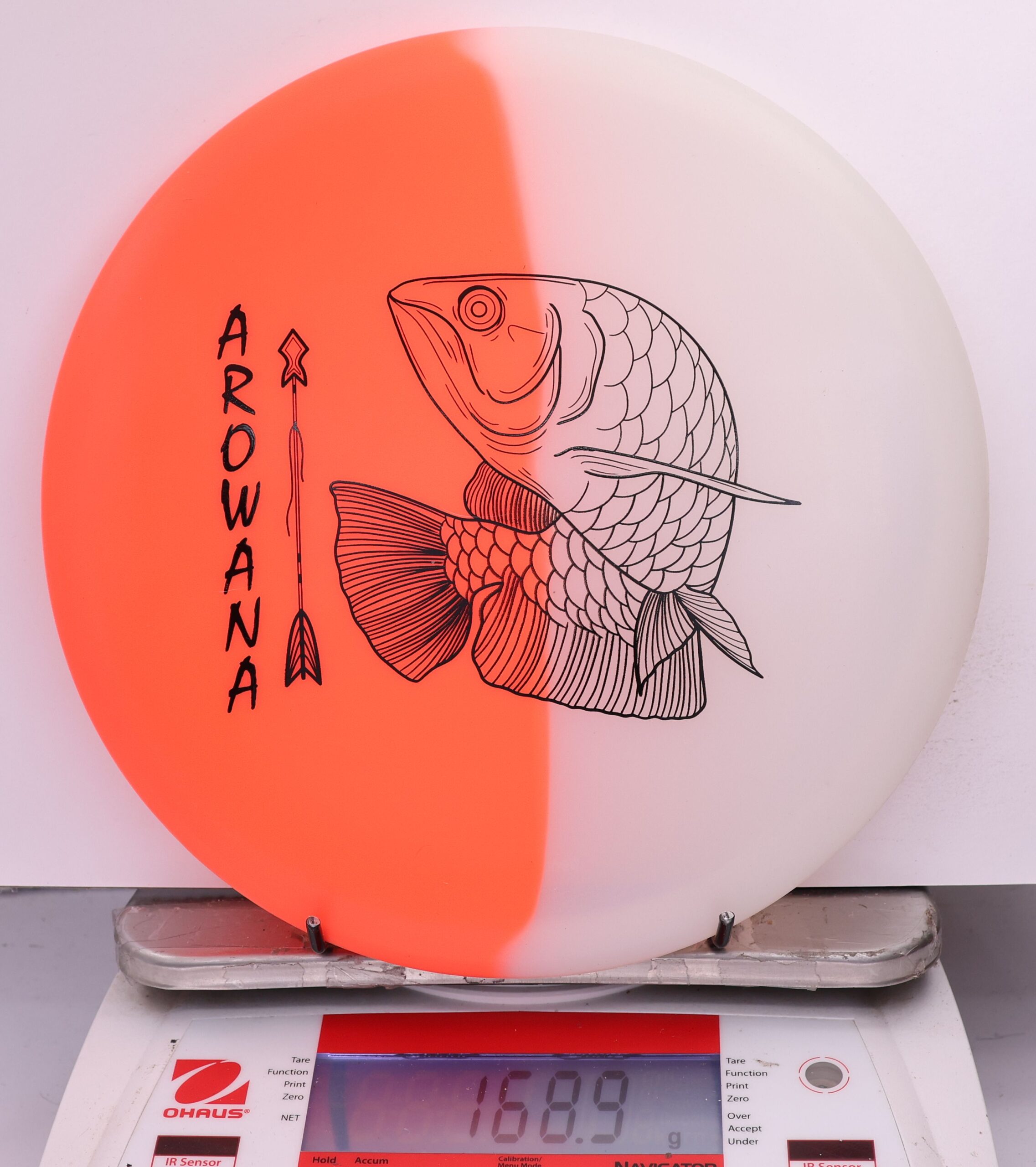 607898 glO-G Arowana - #45 OrangeGlow, 169