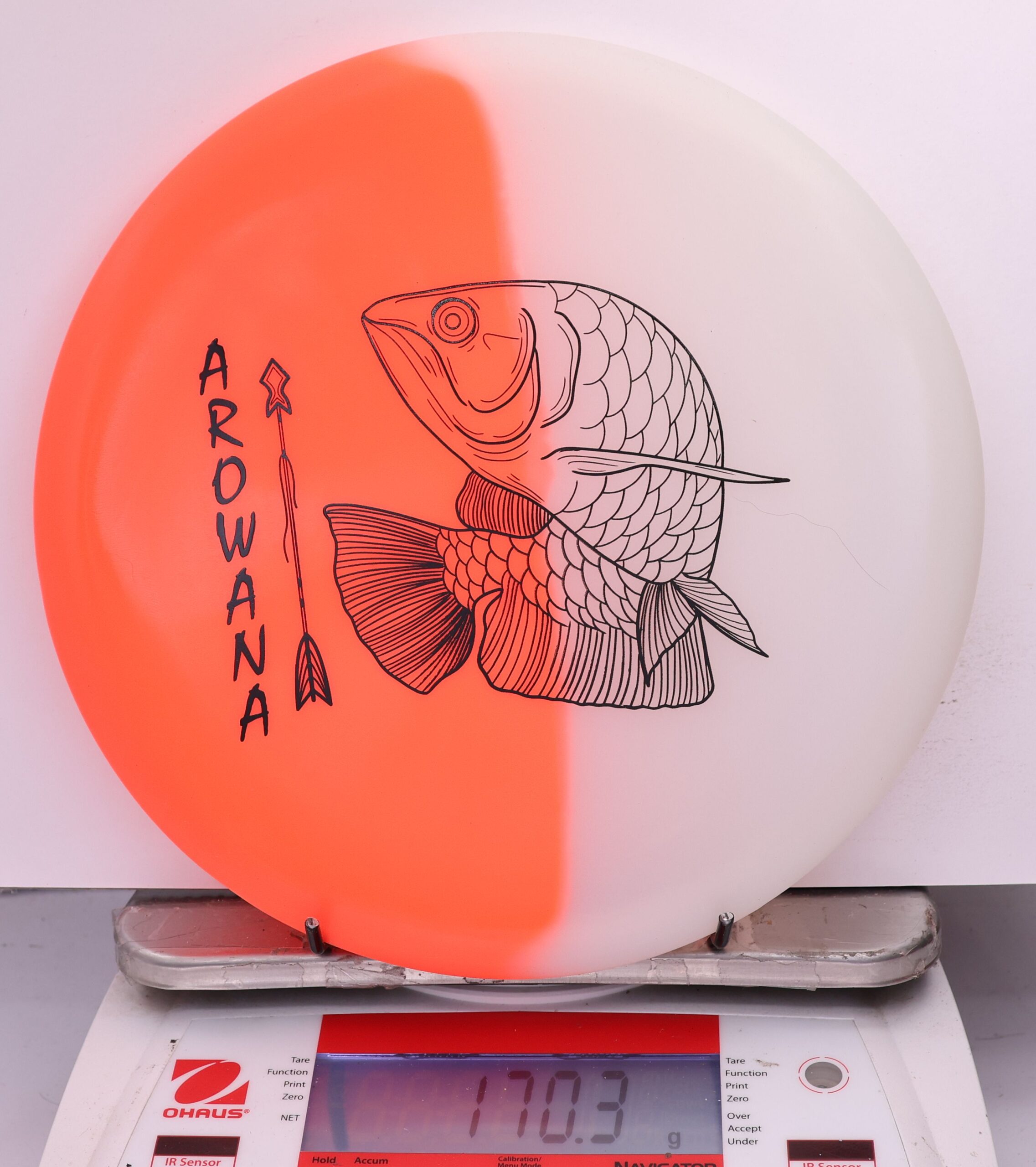 607900 glO-G Arowana - #47 OrangeGlow, 170