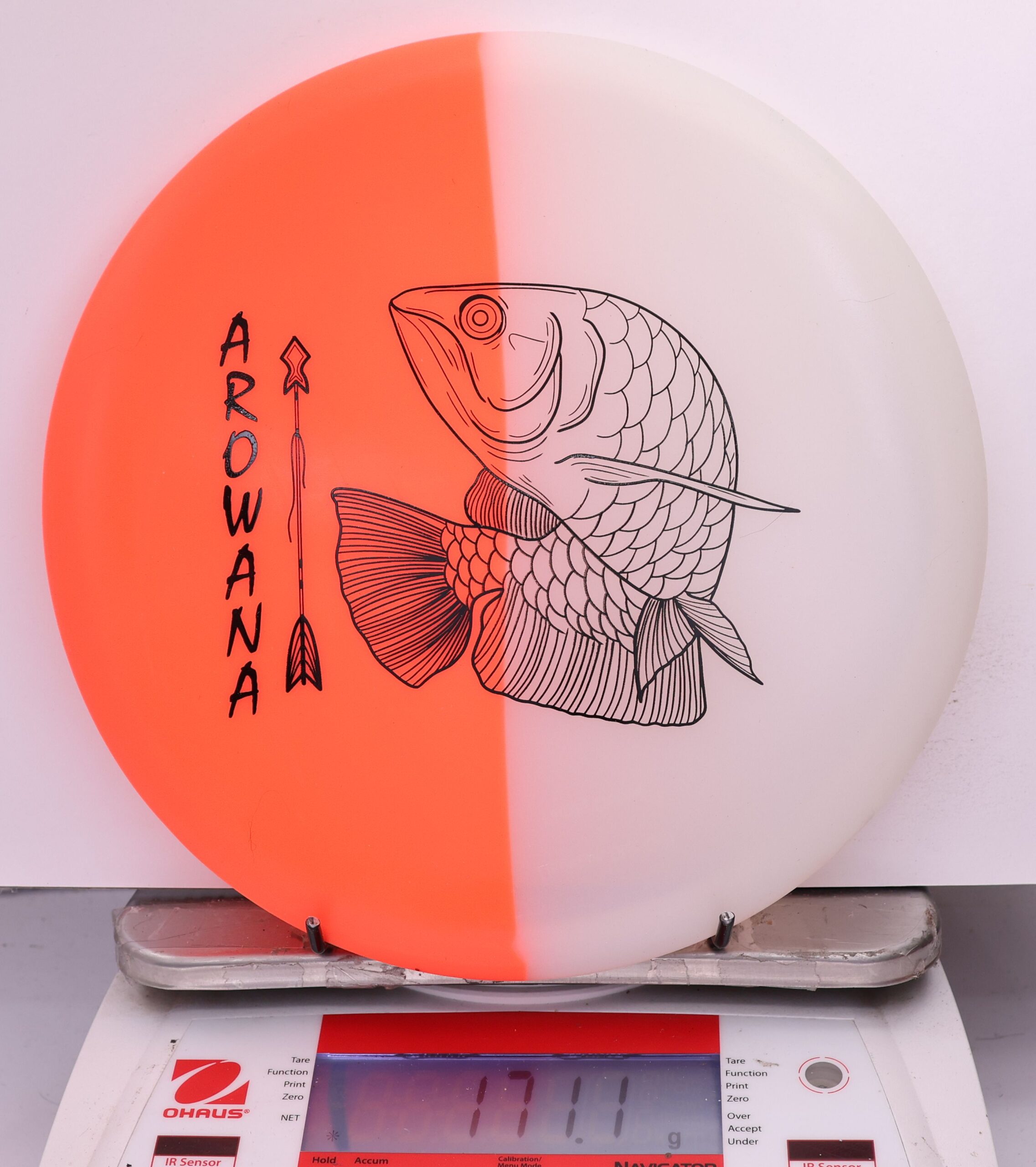 607901 glO-G Arowana - #48 OrangeGlow, 171