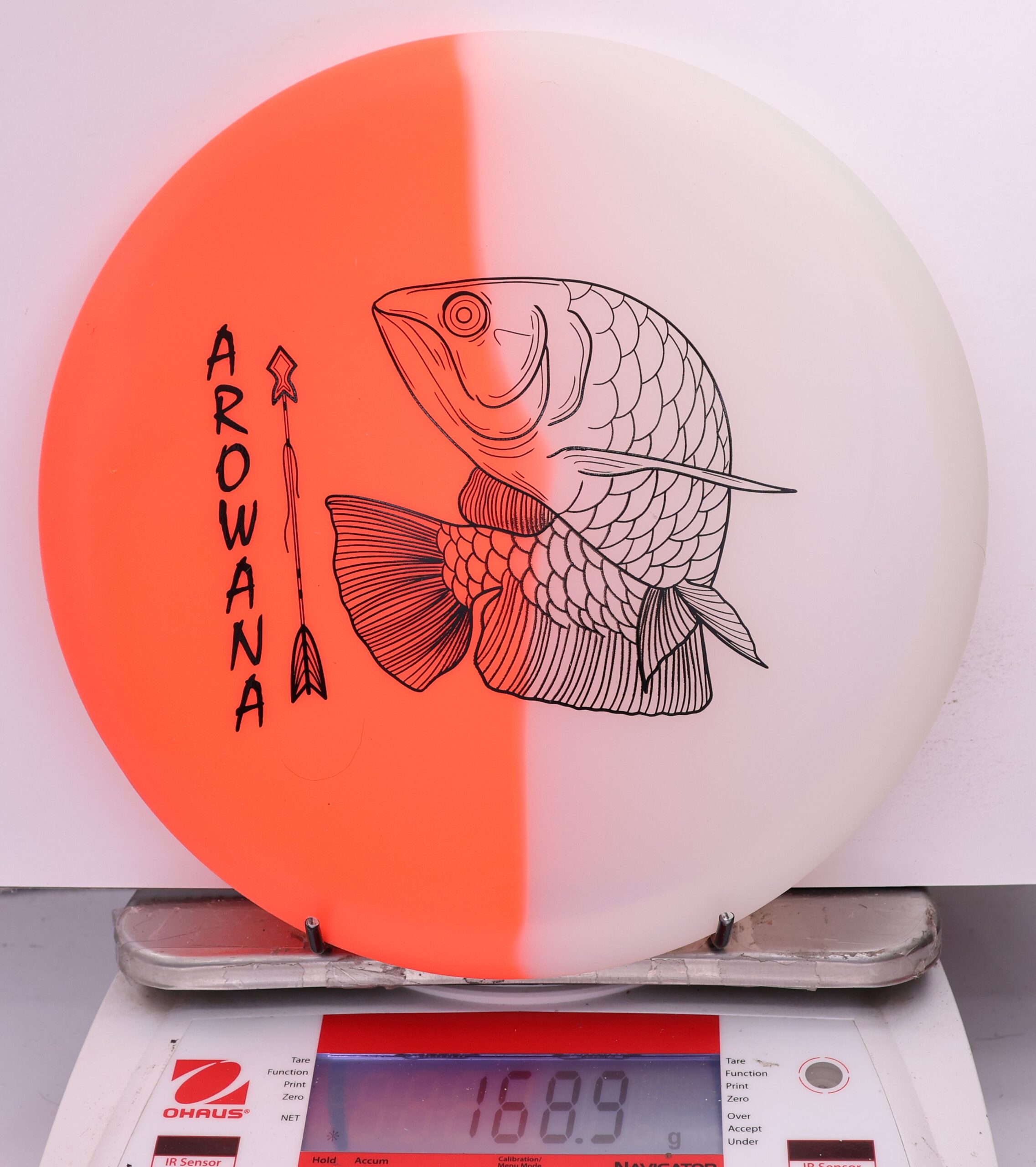 607902 glO-G Arowana - #49 OrangeGlow, 169