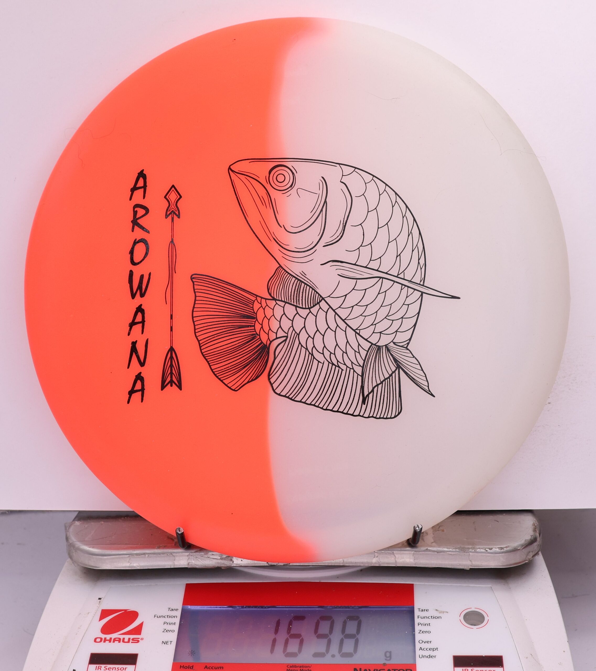 607919 glO-G Arowana - #50 OrangeGlow, 170
