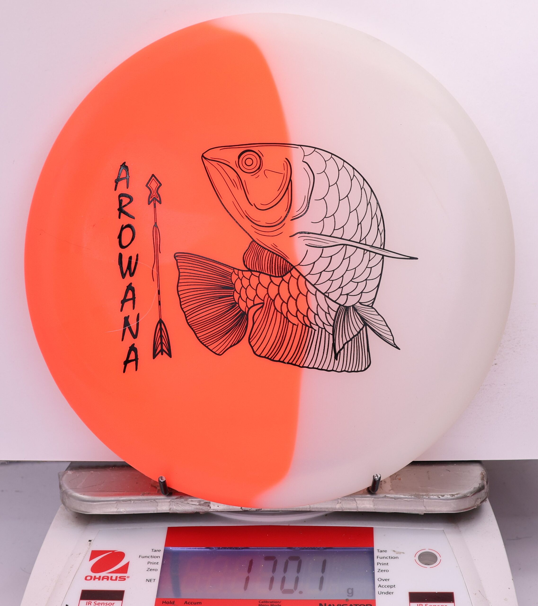 607920 glO-G Arowana - #51 OrangeGlow, 170