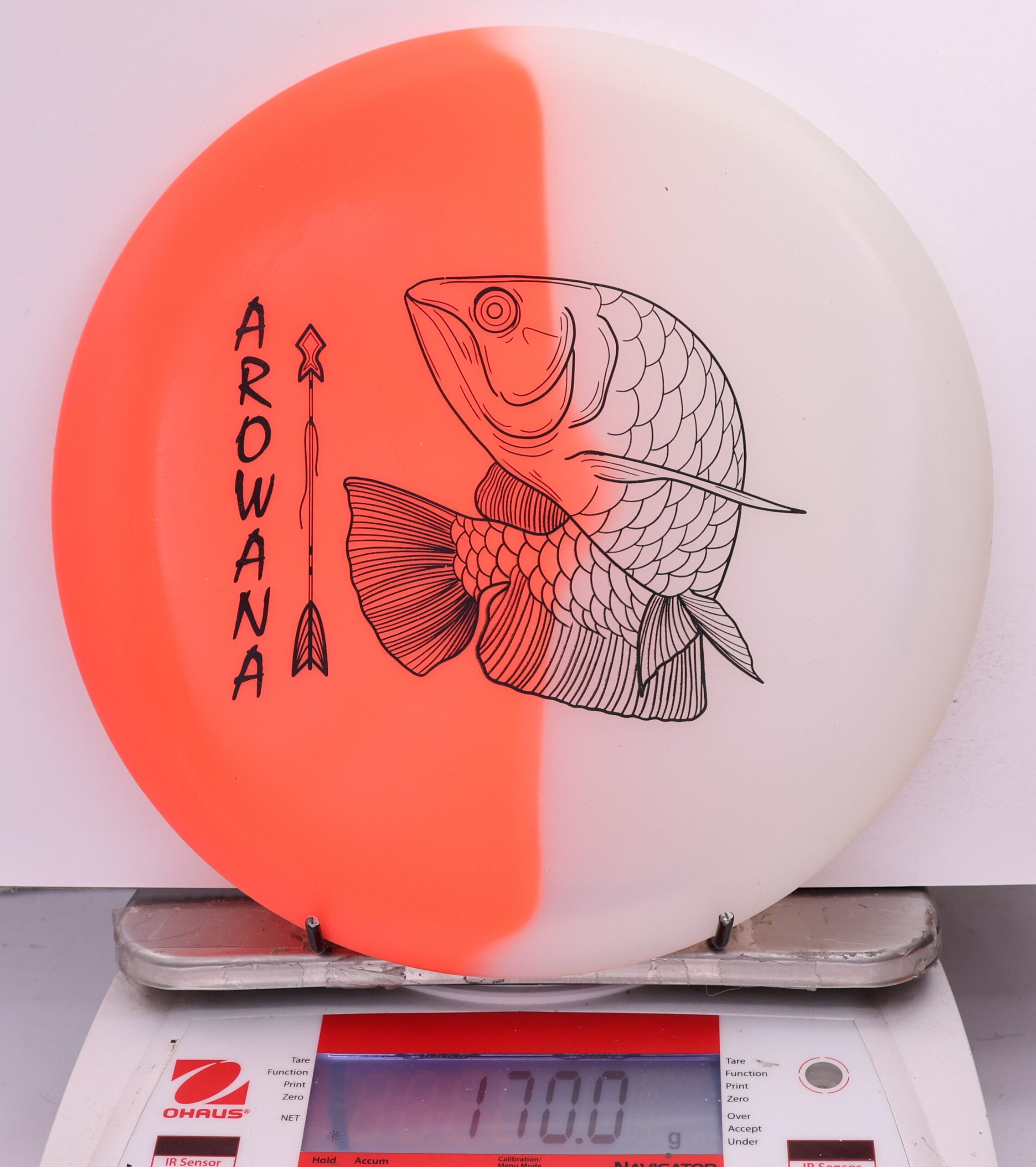 607921 glO-G Arowana - #52 OrangeGlow, 170