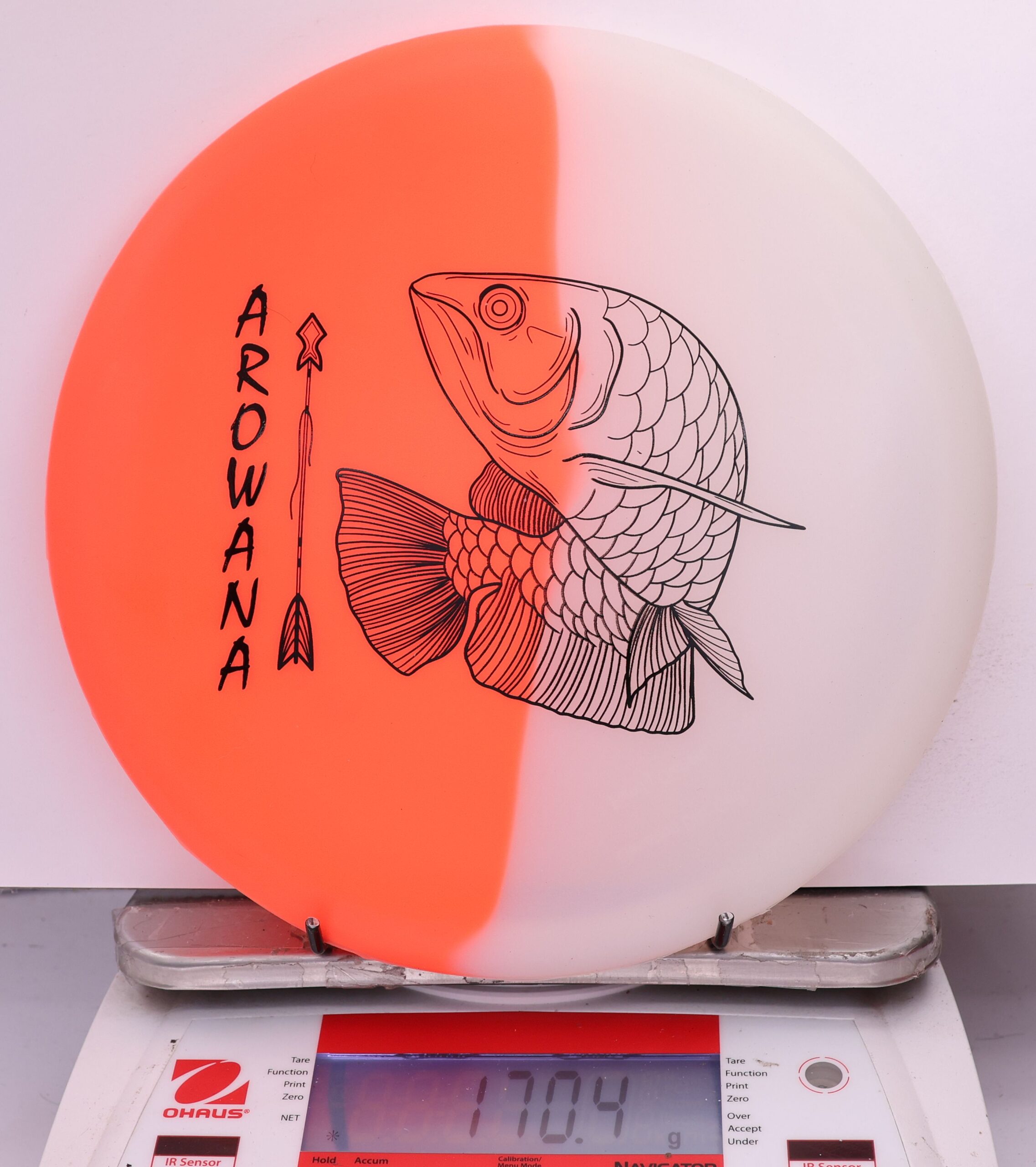 607922 glO-G Arowana - #53 OrangeGlow, 170