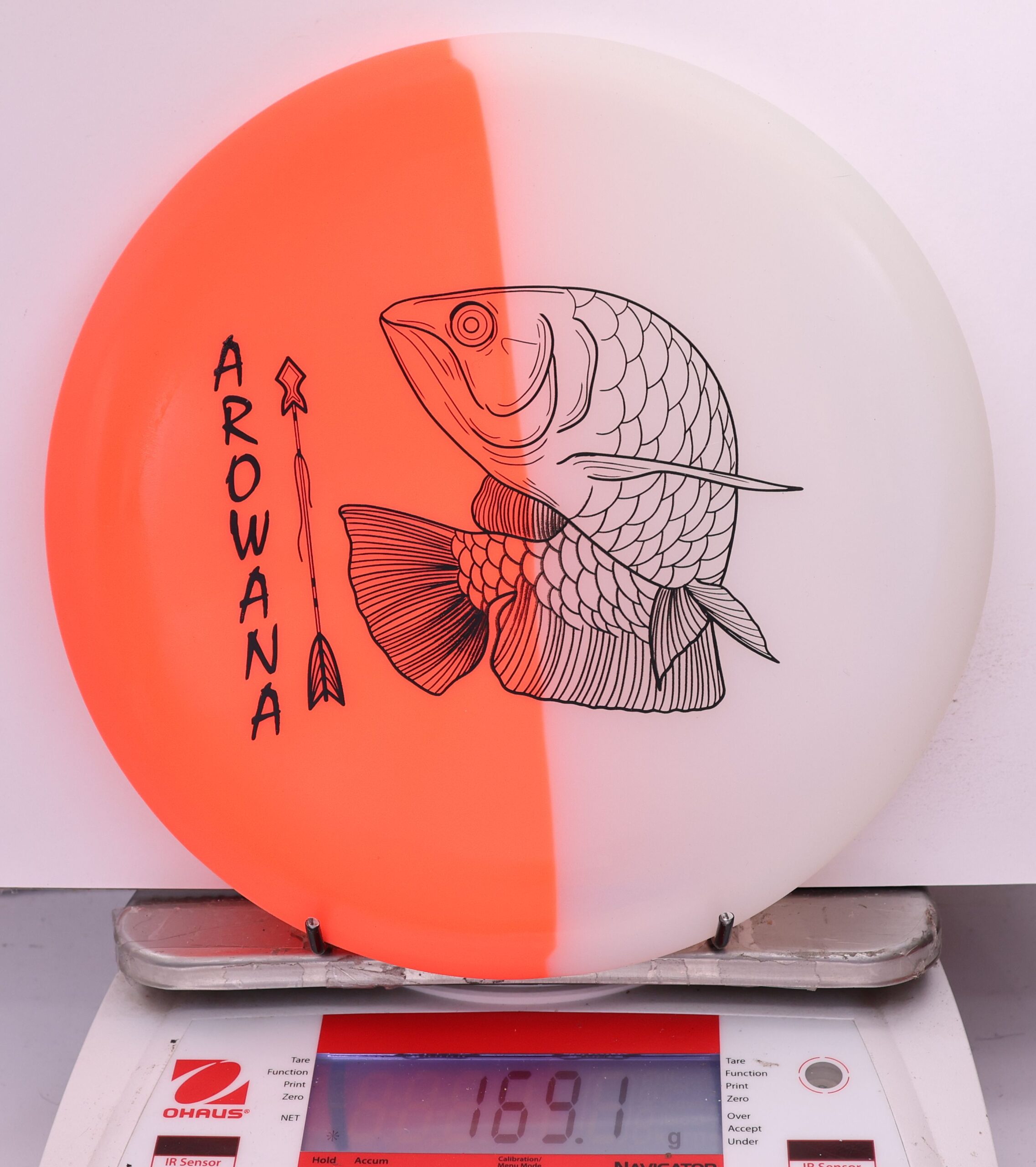 607923 glO-G Arowana - #54 OrangeGlow, 169