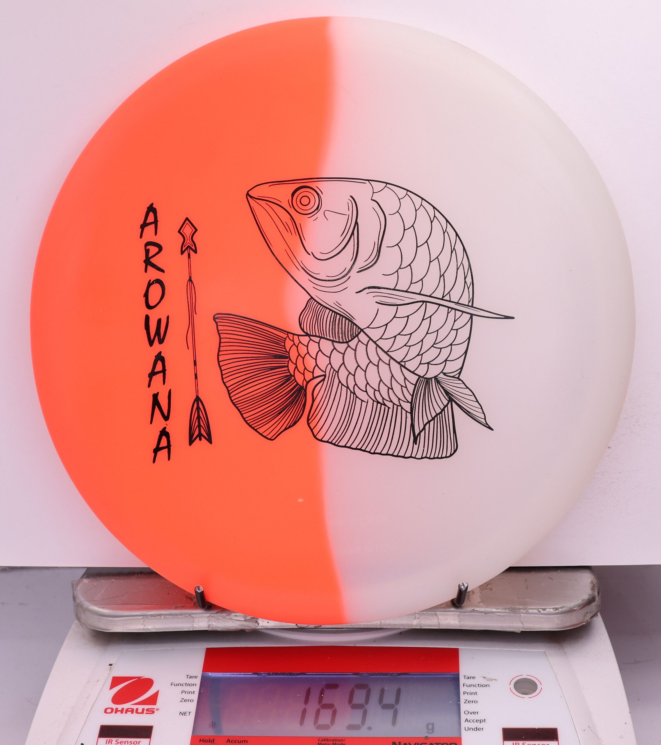 607940 glO-G Arowana - #55 OrangeGlow, 169
