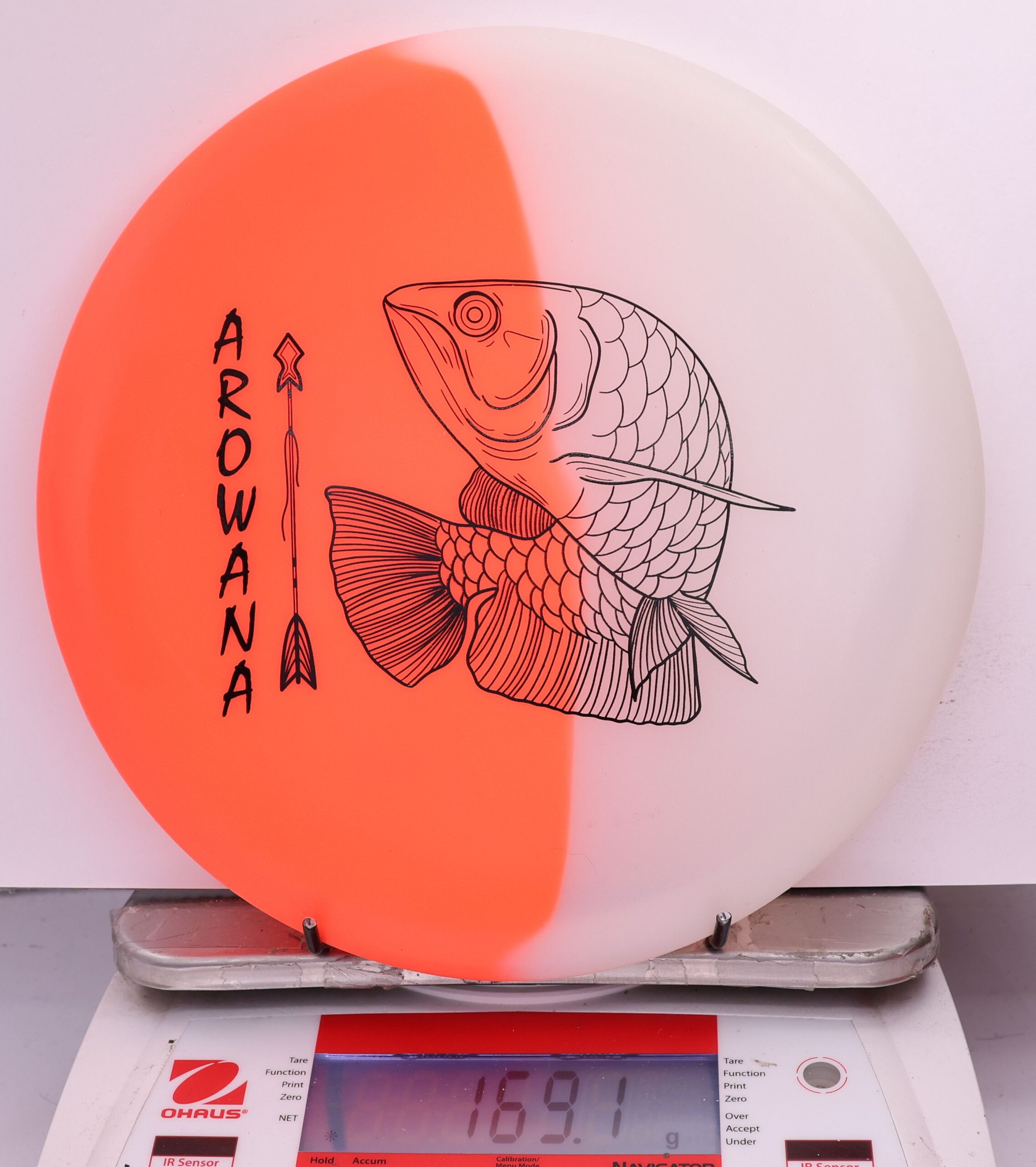 607941 glO-G Arowana - #56 OrangeGlow, 169