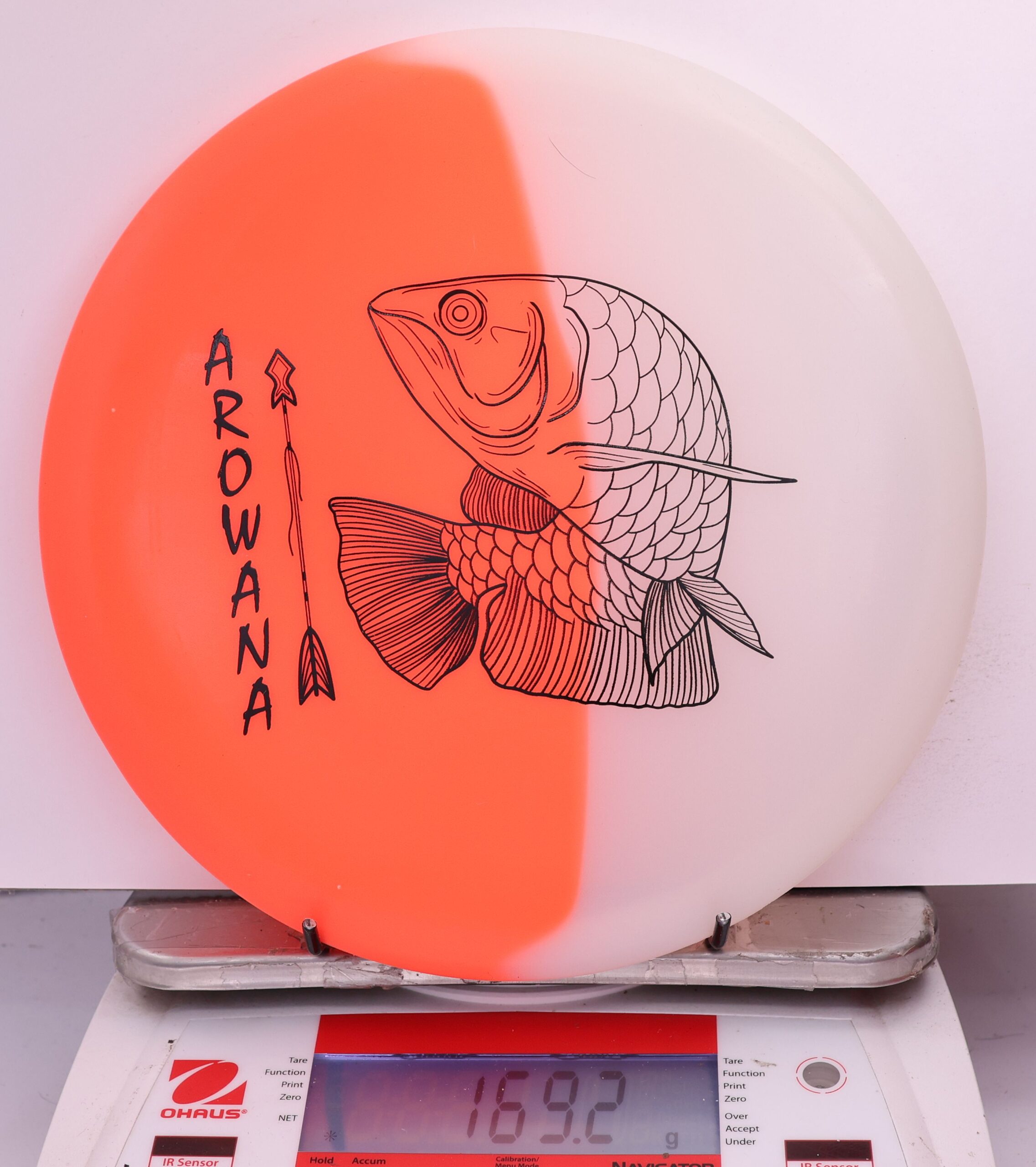 607944 glO-G Arowana - #59 OrangeGlow, 169