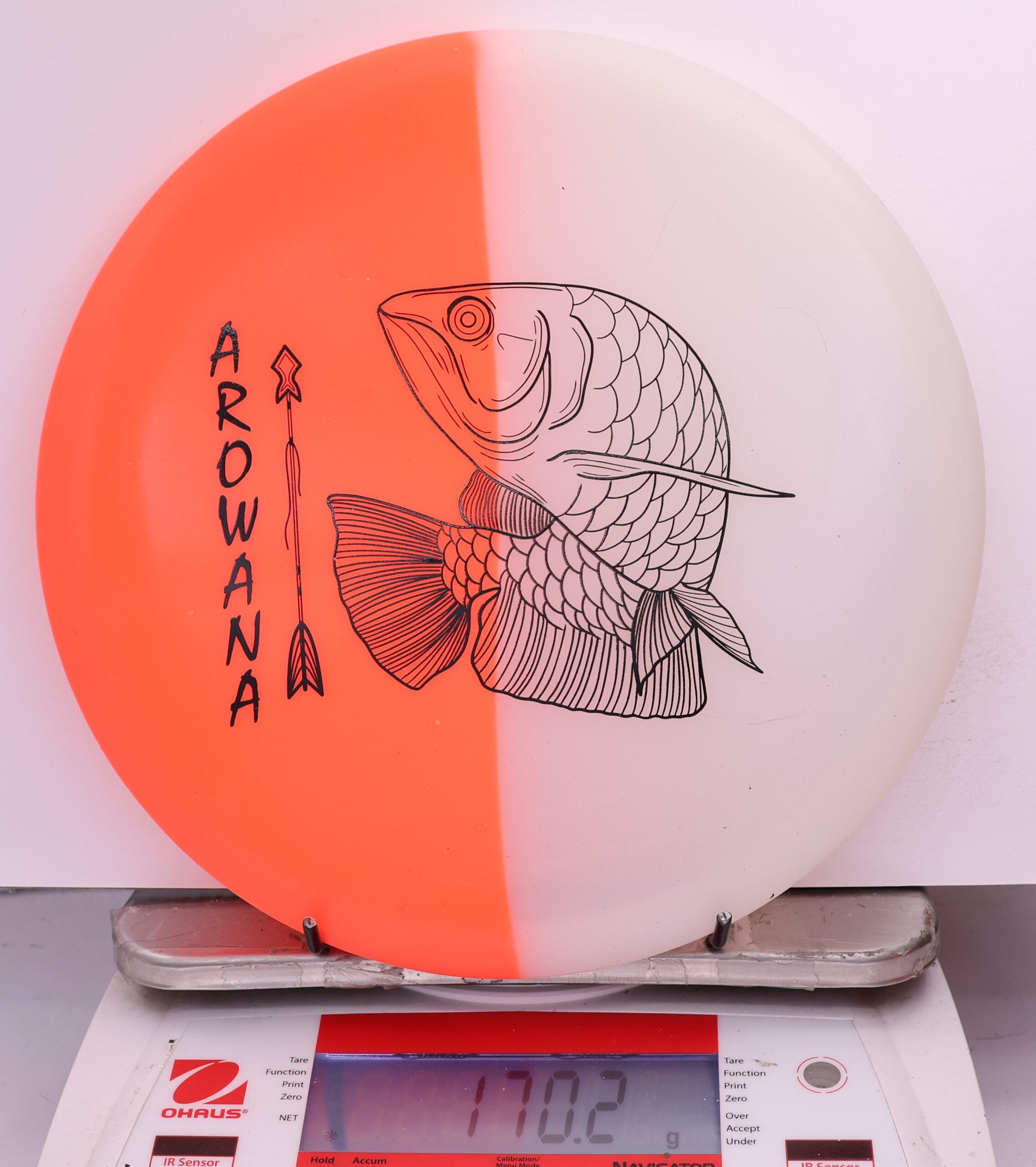 607961 glO-G Arowana - #60 OrangeGlow, 170