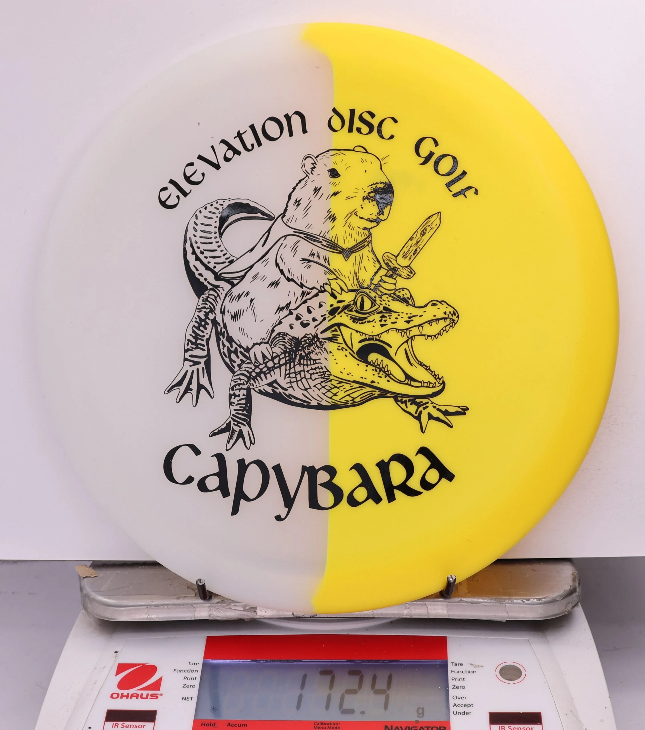 608849 glO-G Capybara - #28 Solar, 172