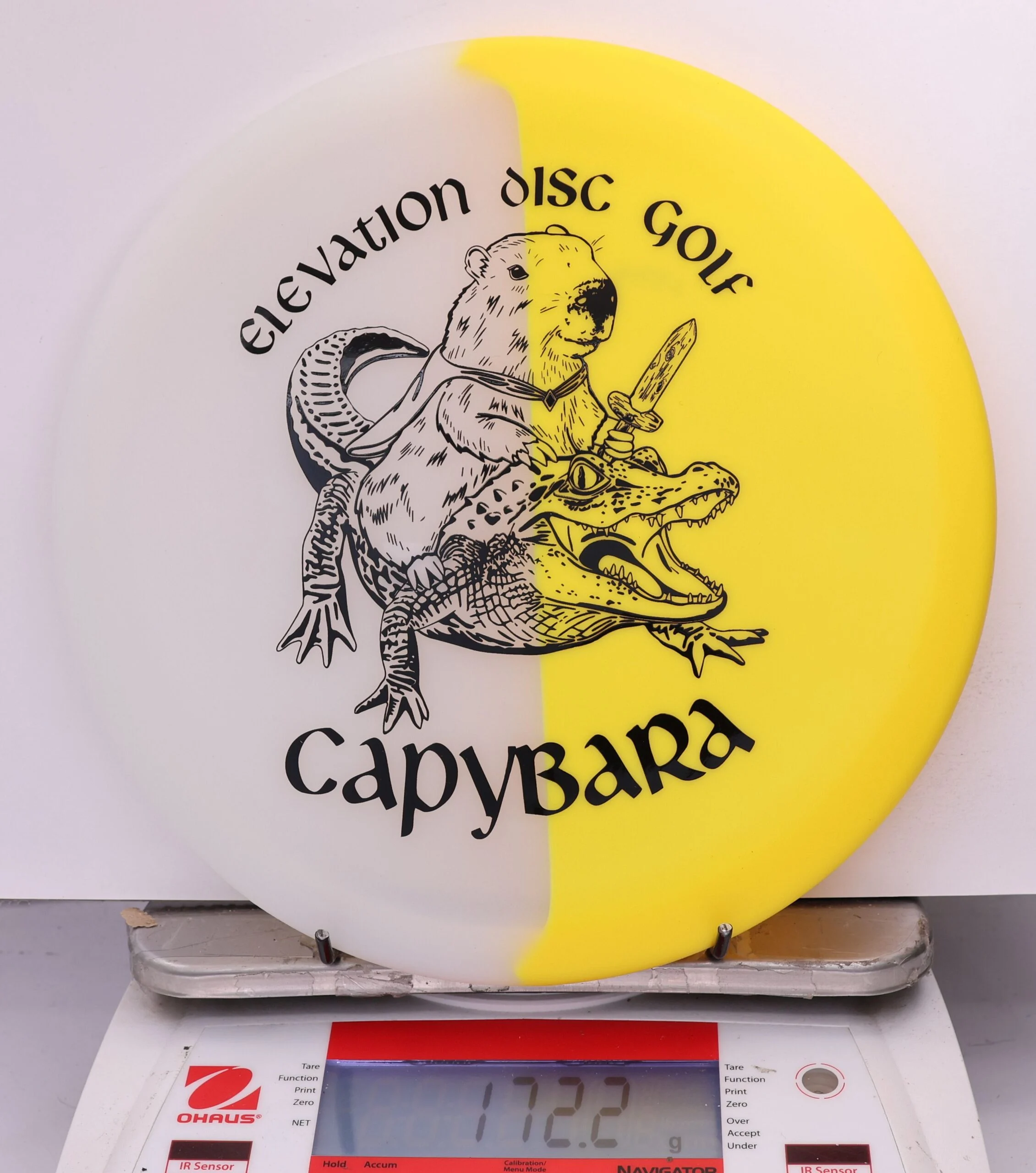 609149 glO-G Capybara - #43 Solar, 172