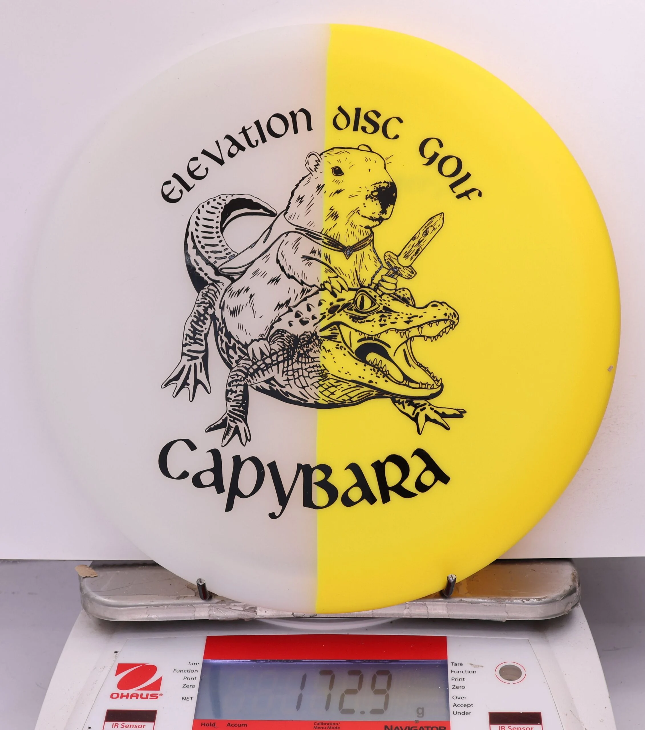 609246 glO-G Capybara - #45 Solar, 173