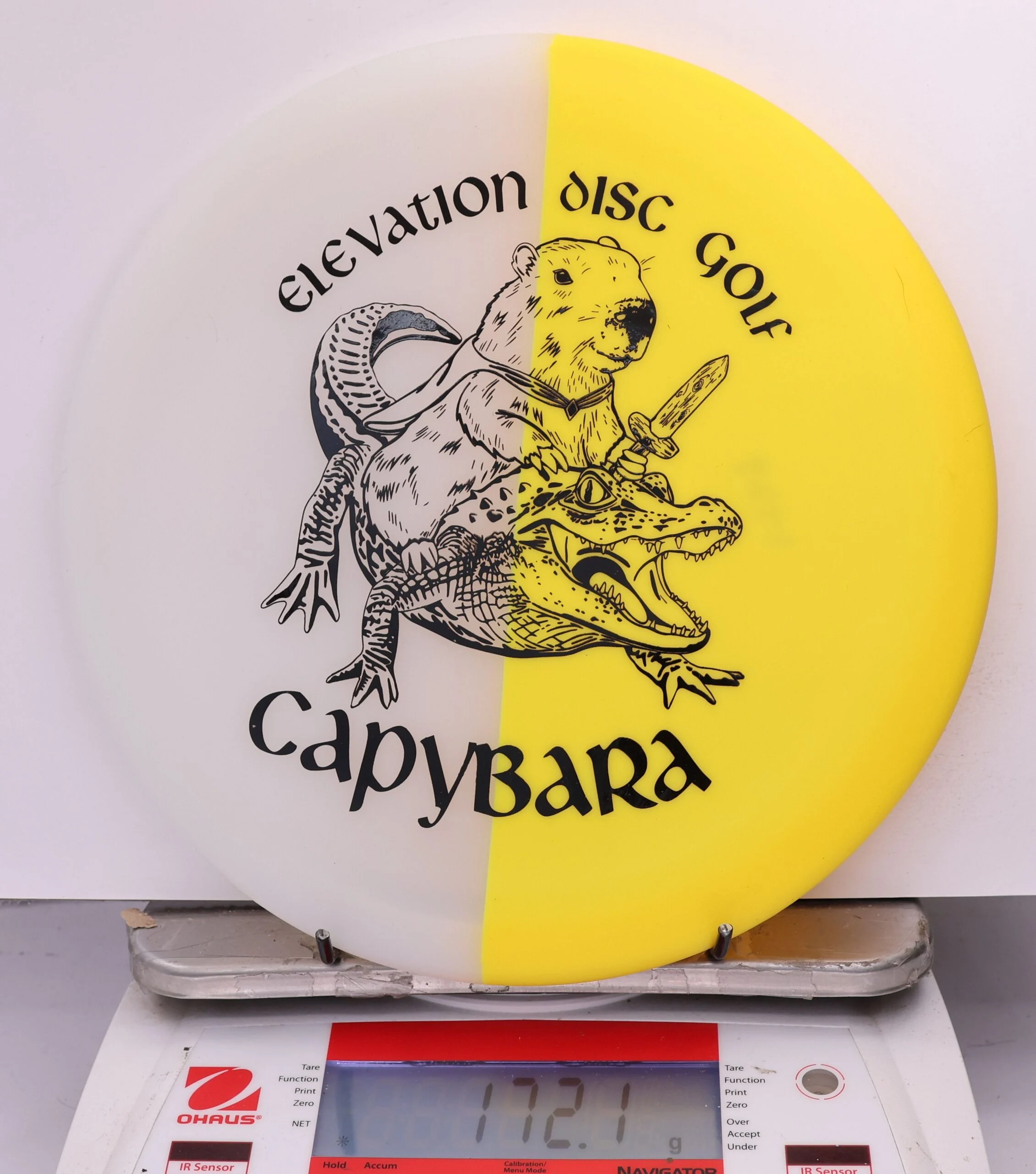 609248 glO-G Capybara - #47 Solar, 172