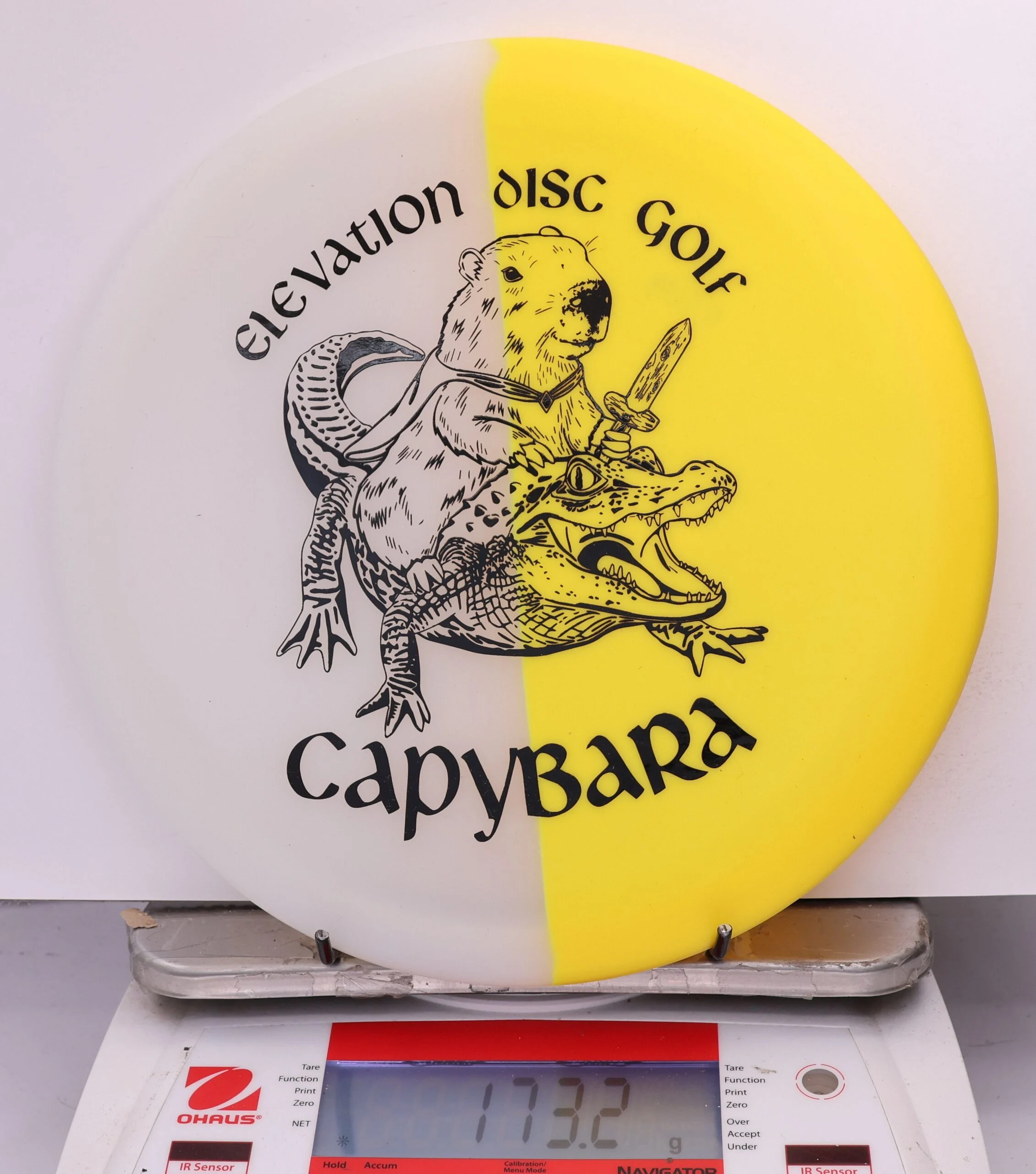 609249 glO-G Capybara - #48 Solar, 173