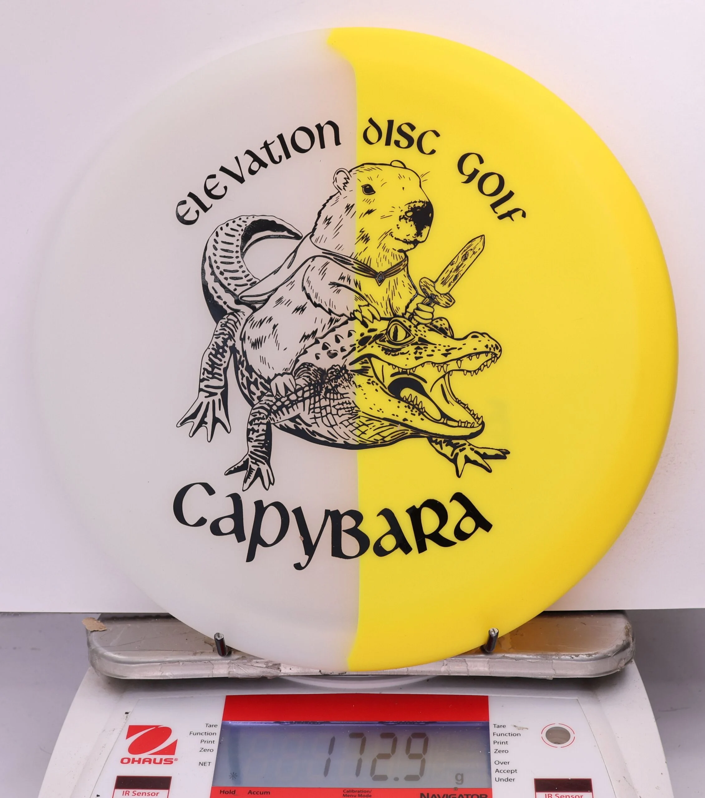 609250 glO-G Capybara - #49 Solar, 173