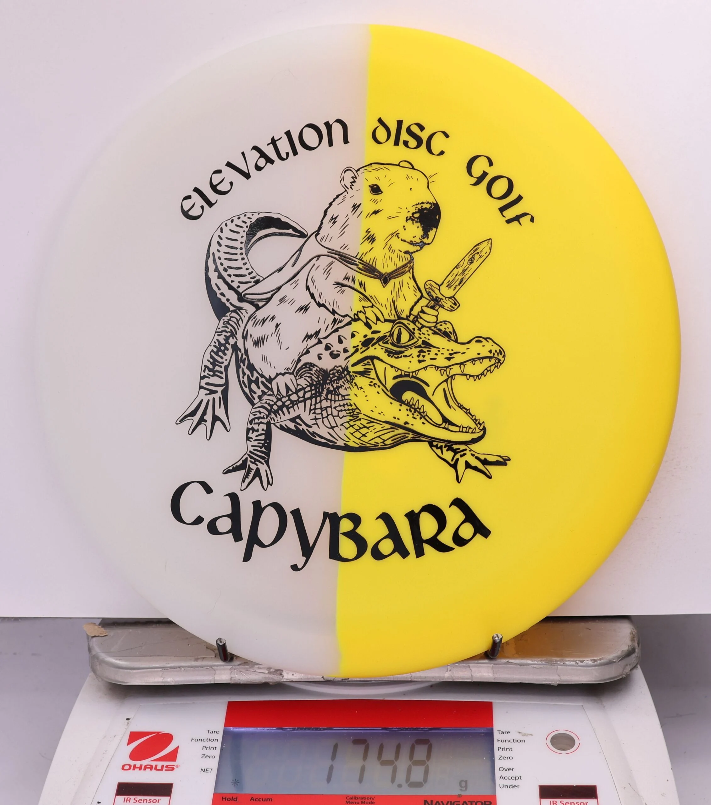 609447 glO-G Capybara - #56 Solar, 175