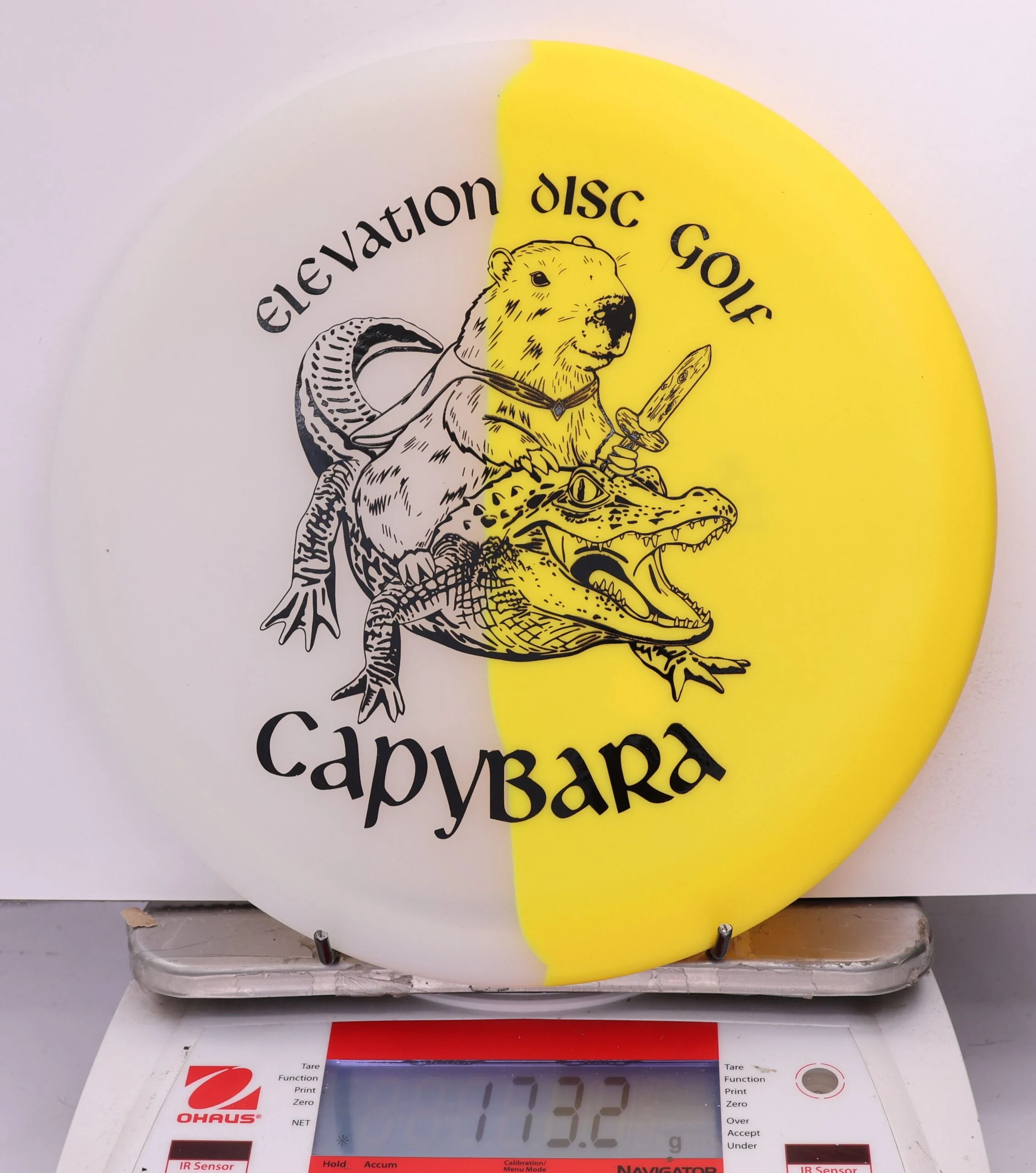 609448 glO-G Capybara - #57 Solar, 173