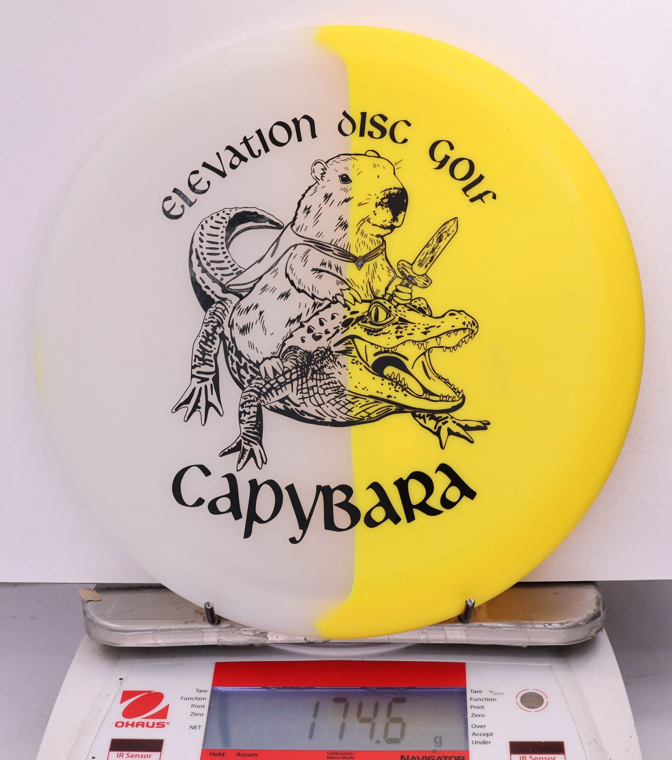 609450 glO-G Capybara - #59 Solar, 175