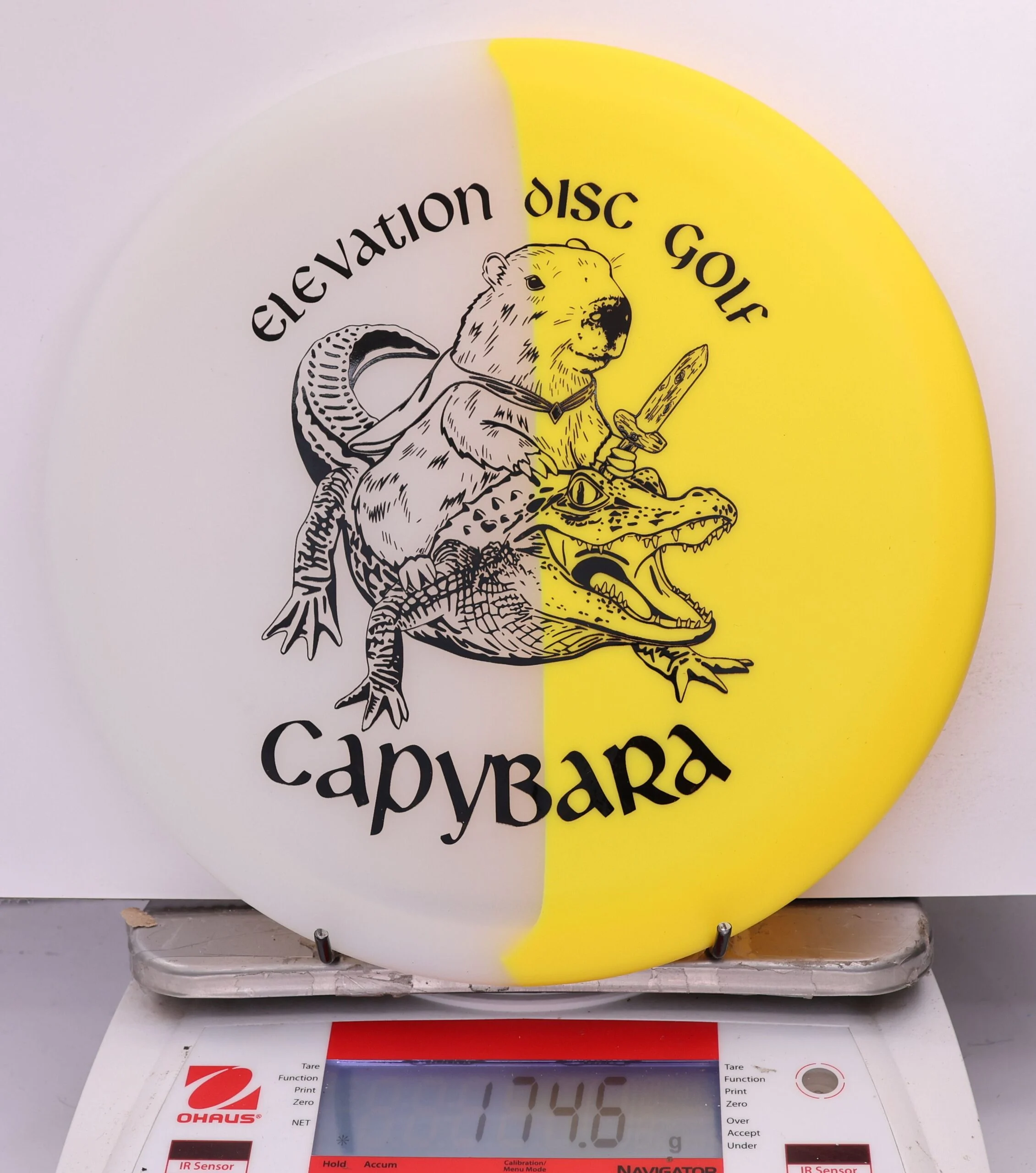 609547 glO-G Capybara - #61 Solar, 175