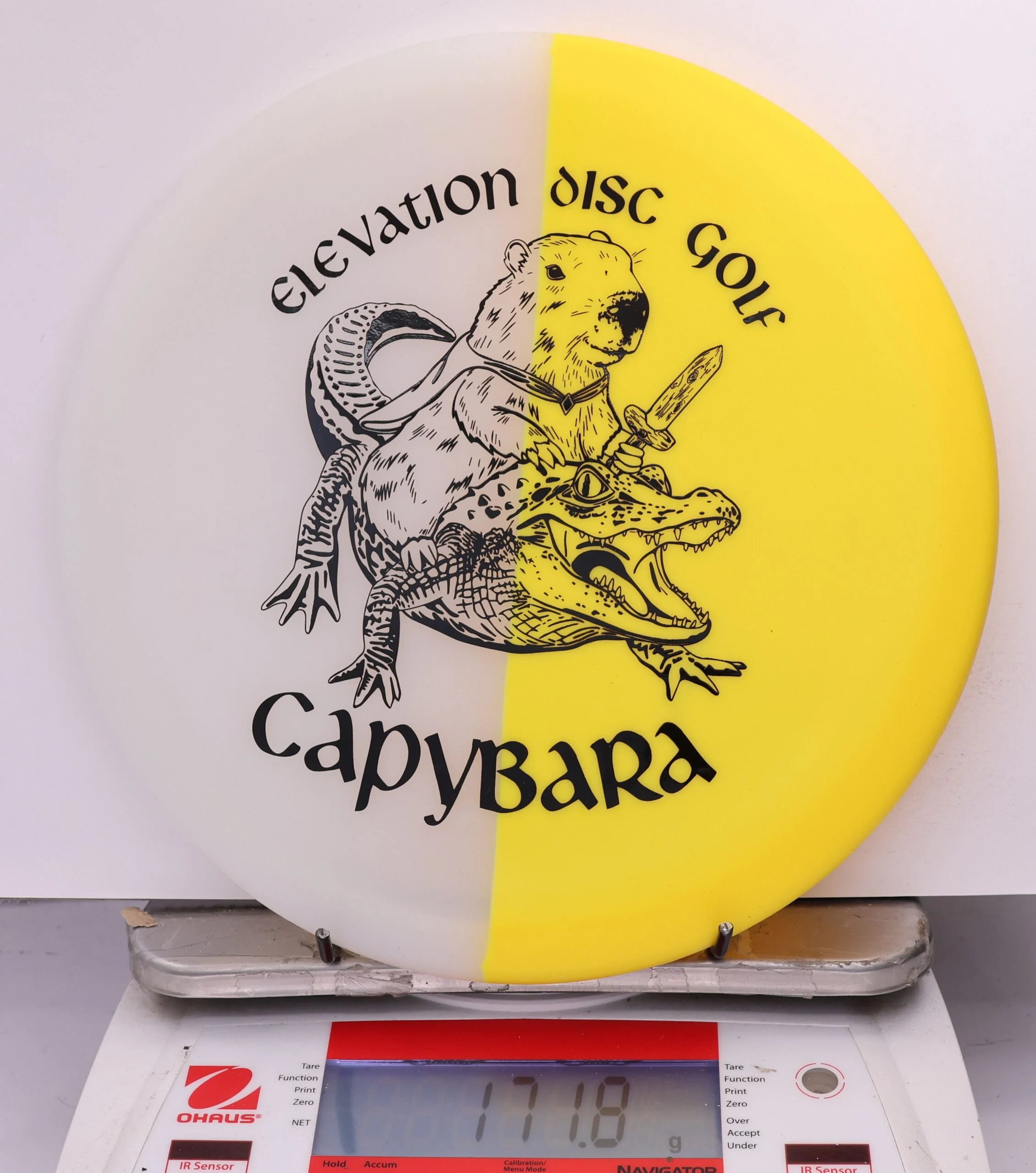 609549 glO-G Capybara - #63 Solar, 172