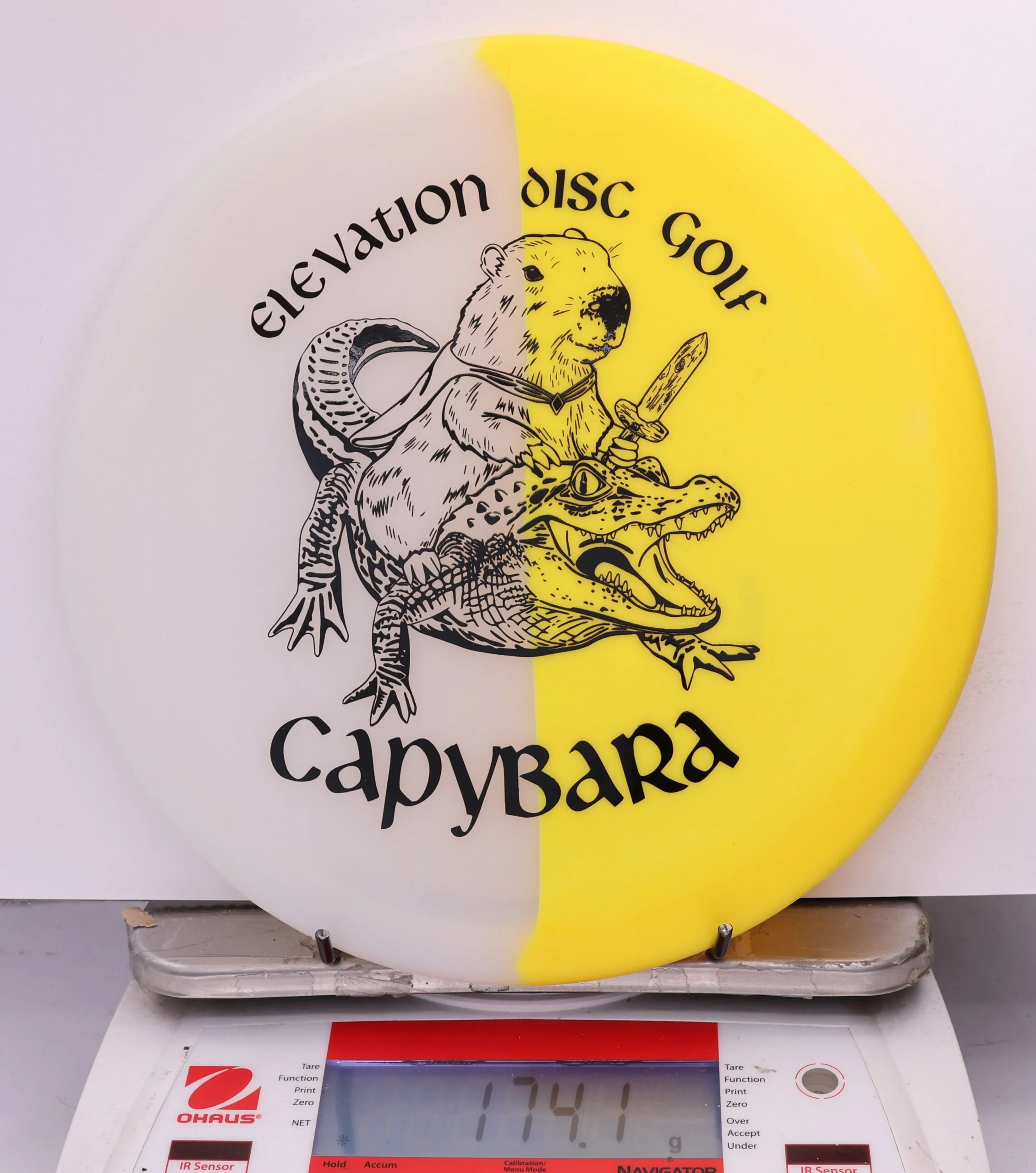 609649 glO-G Capybara - #68 Solar, 174