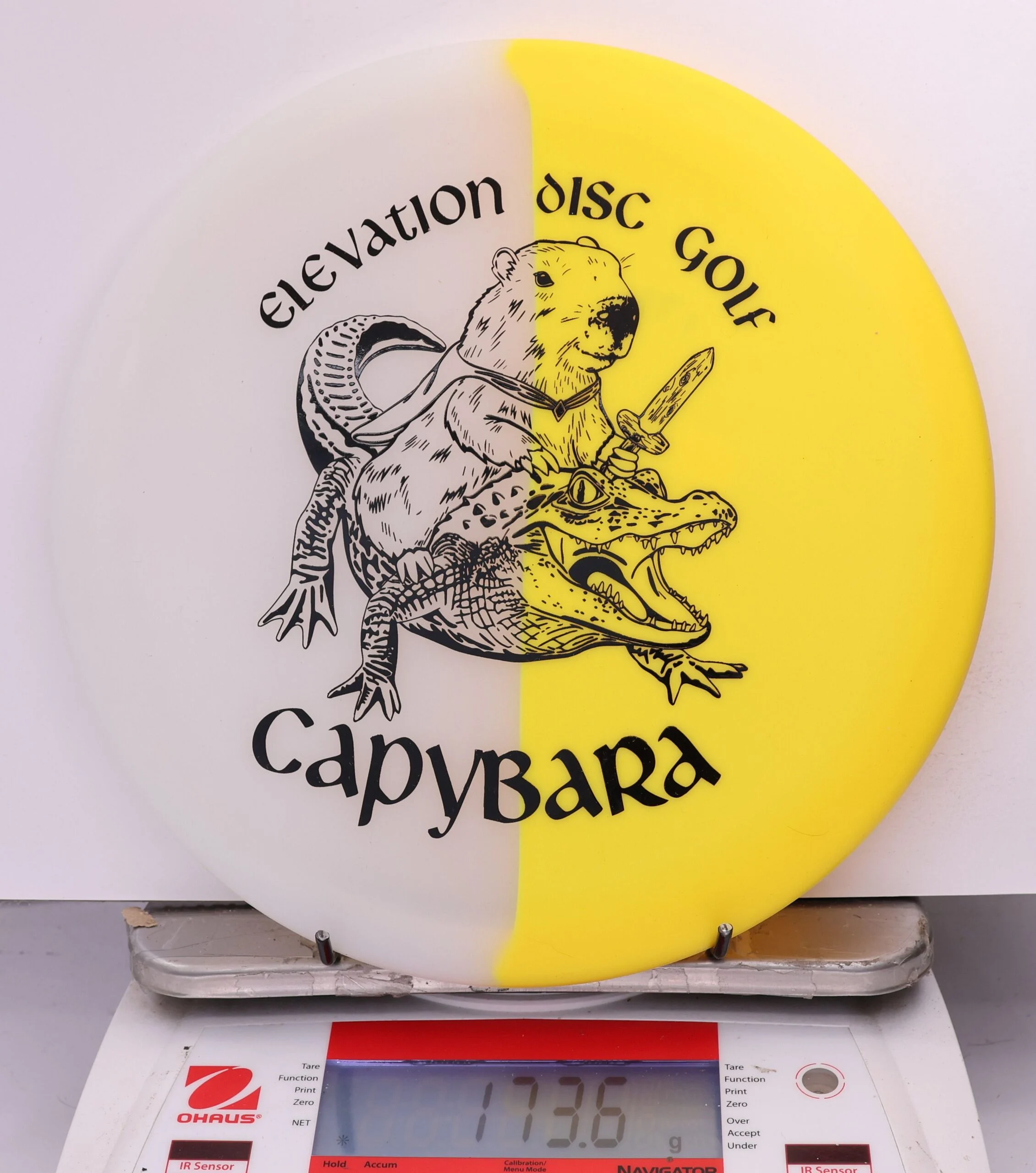 609746 glO-G Capybara - #70 Solar, 174