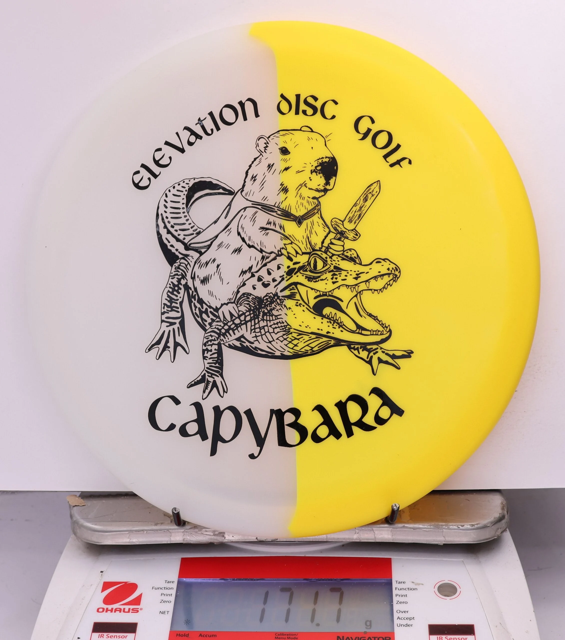 609748 glO-G Capybara - #72 Solar, 172