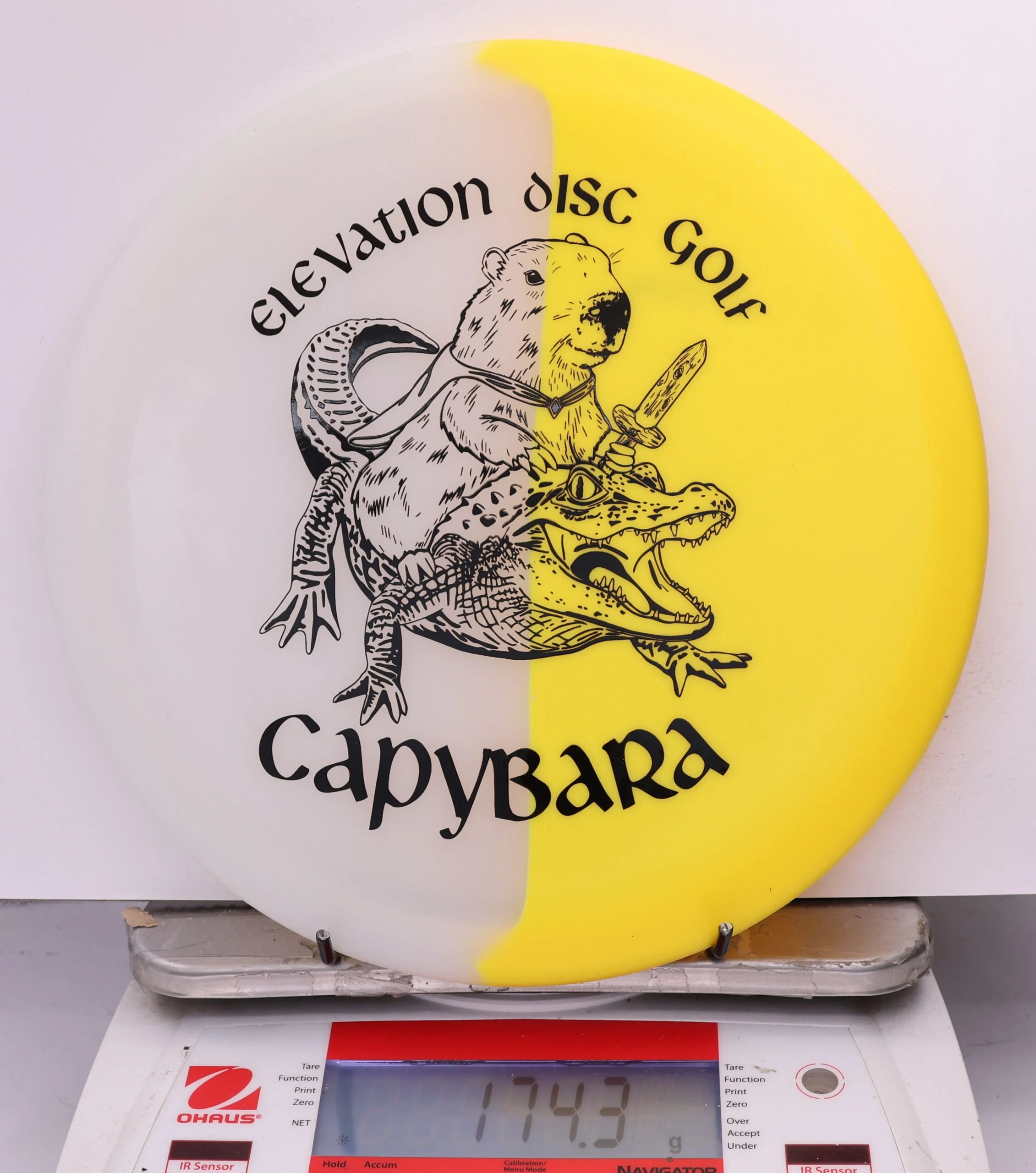 609849 glO-G Capybara - #78 Solar, 174