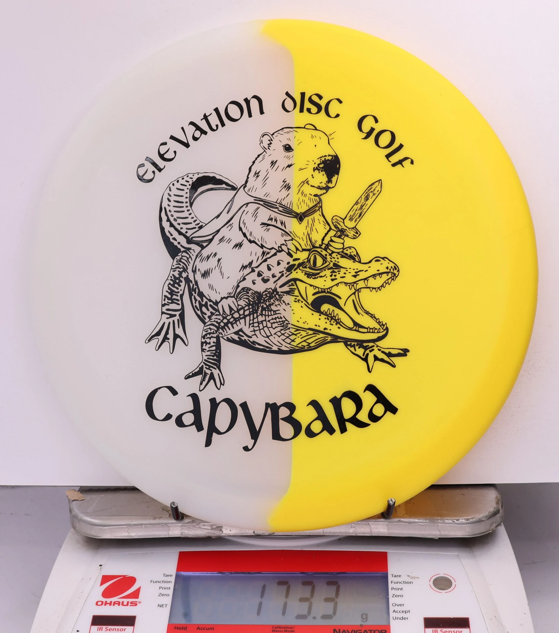609947 glO-G Capybara - #81 Solar, 173