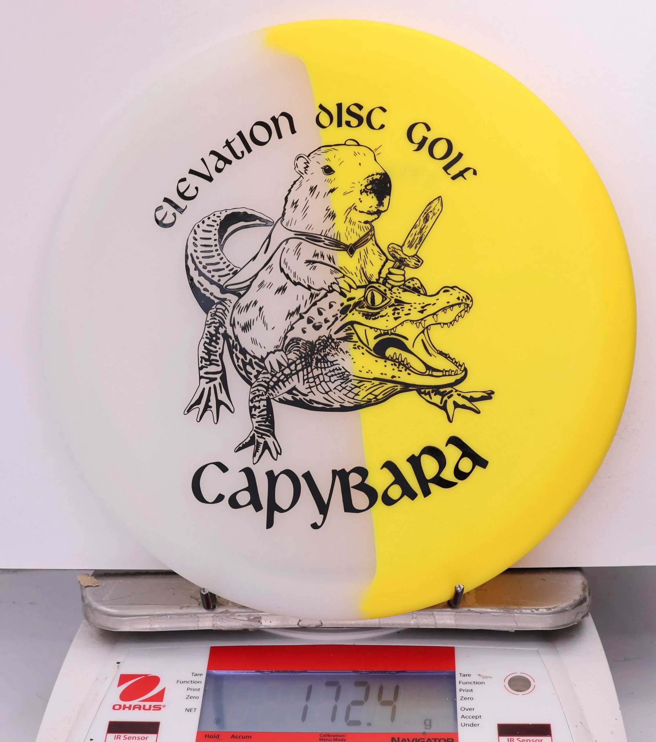 610049 glO-G Capybara - #88 Solar, 172