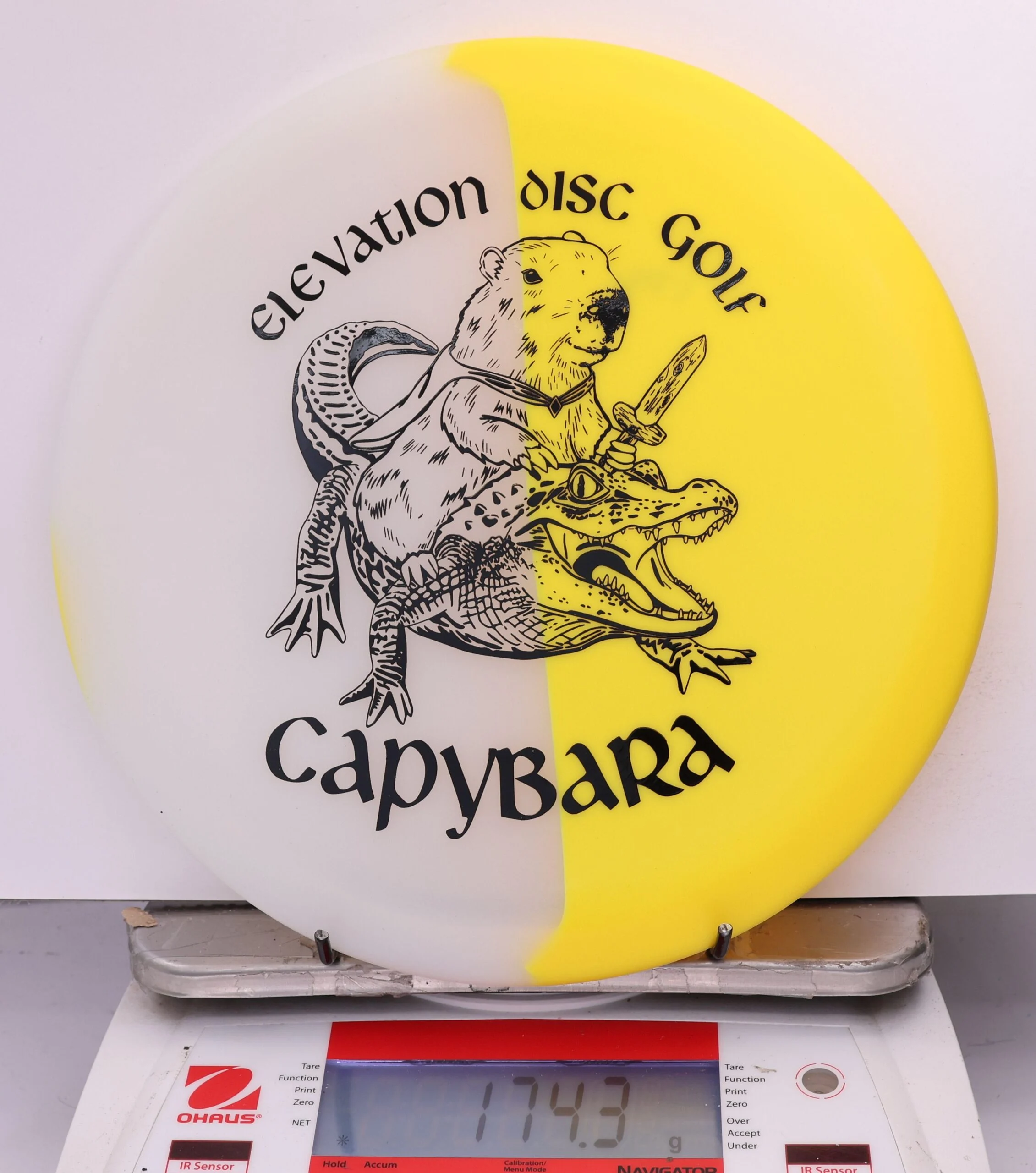 610246 glO-G Capybara - #95 Solar, 174