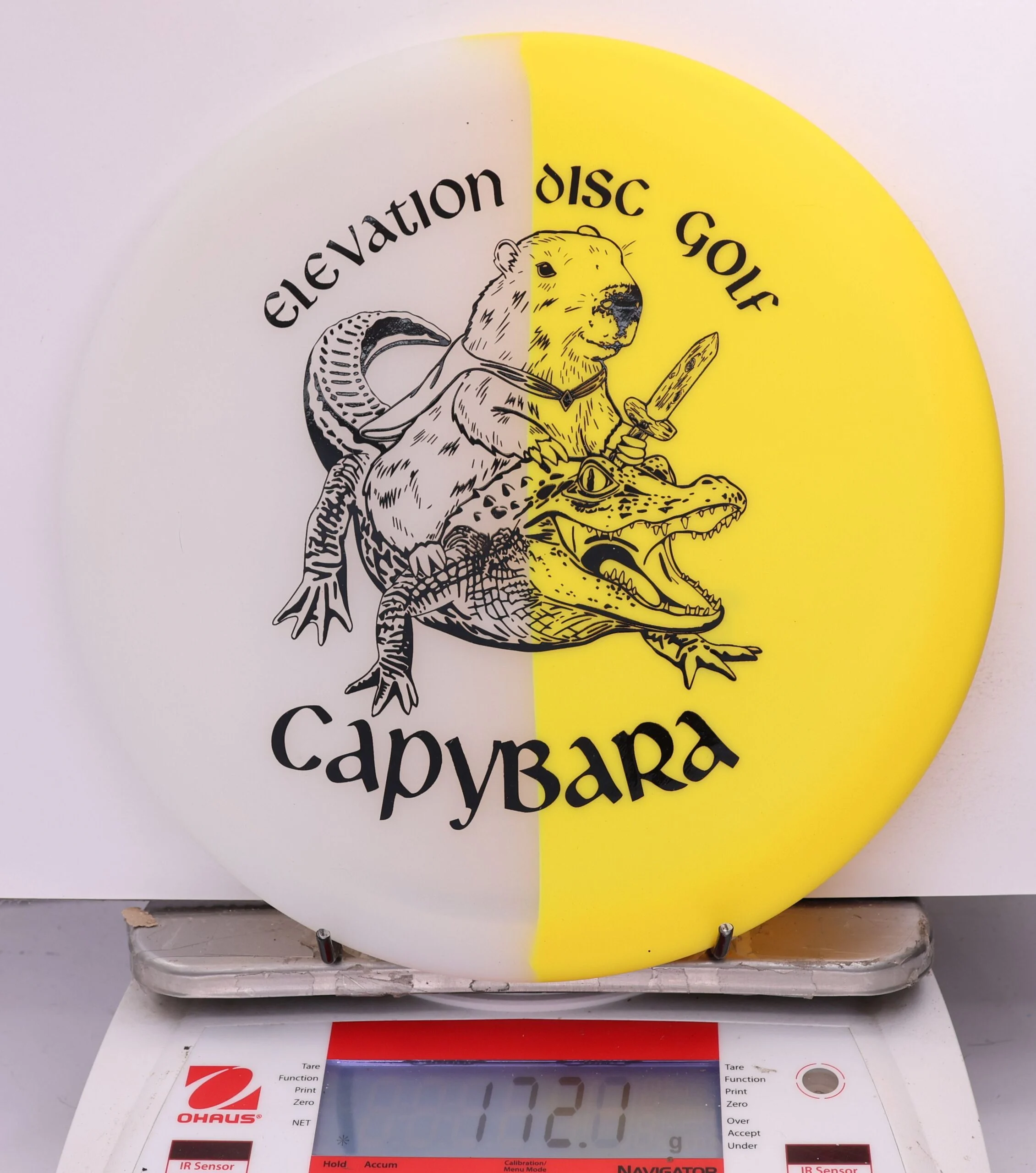 610250 glO-G Capybara - #99 Solar, 172